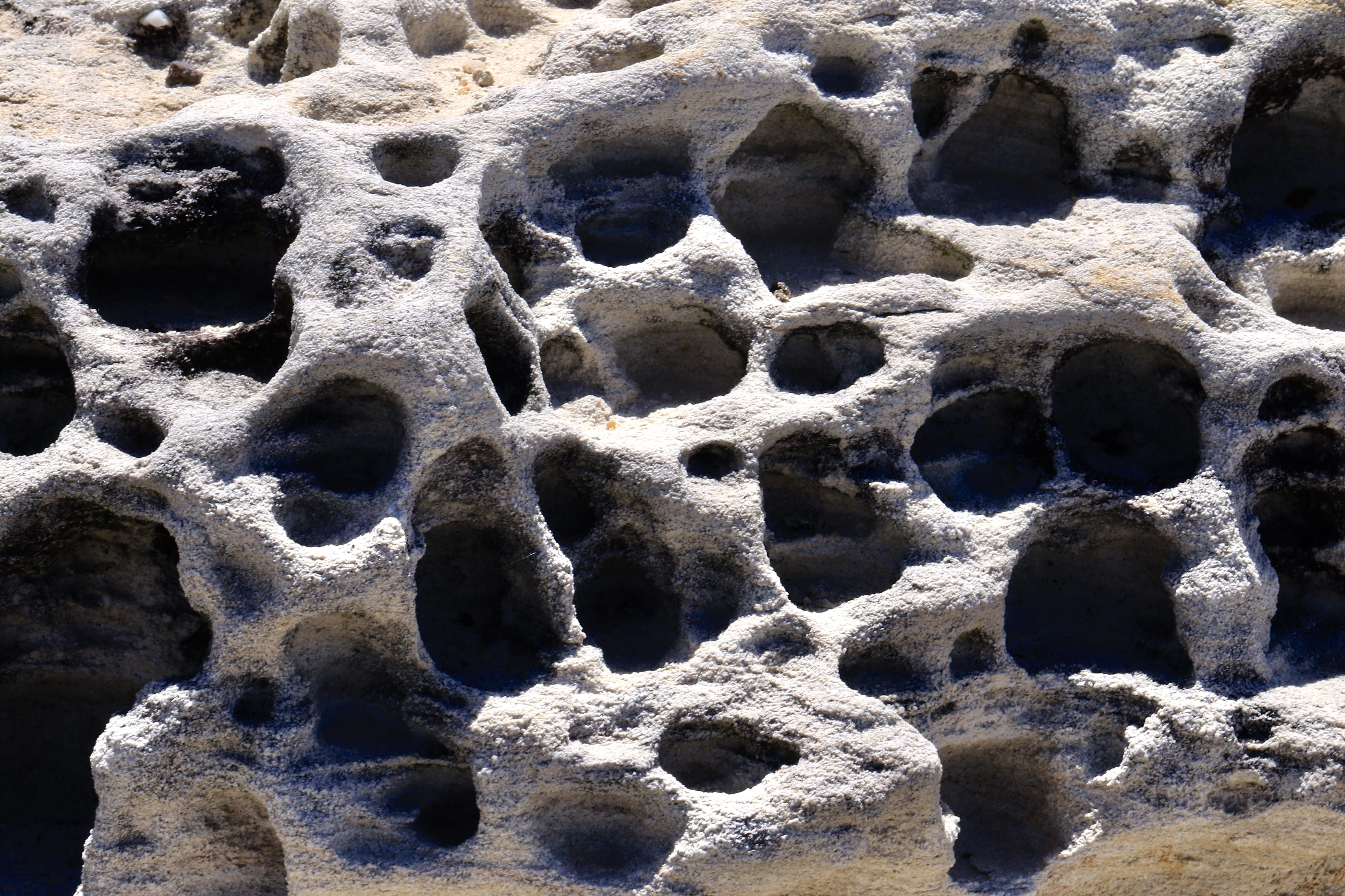 soil, pattern, day, outdoors, backgrounds, 4K, rock, leopard, panther, limestone, jaguar, art and craft, wildlife, built structure, nature, hole, mammal, HD Wallpaper