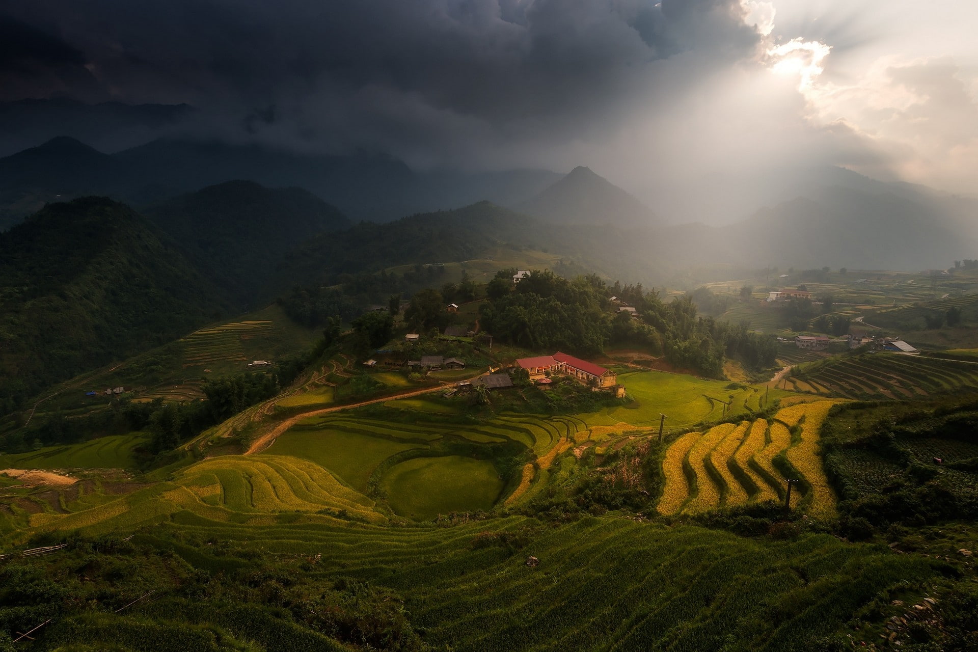 fog, cloud - sky, clouds, agriculture, land, terraces, tranquil scene, plant, sky, beauty in nature, Vietnam, green color, village, trees, tranquility, HD Wallpaper