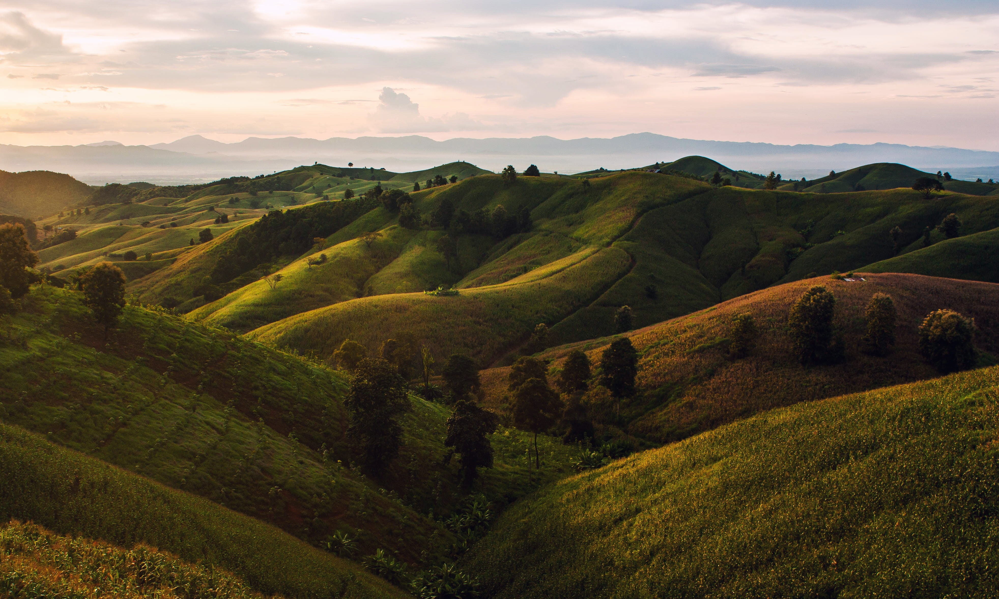 plantation, sky, outdoors, plant, scenics - nature, tea crop, mountain, clouds, environment, 4K, land, field, nature, mountains, Rong Kwang, tranquil scene, HD Wallpaper