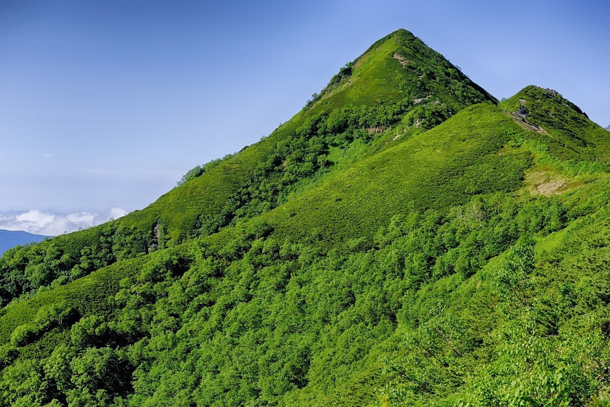 land, environment, outdoors, mountain peak, non-urban scene, landscape, tranquility, lush foliage, scenics - nature, idyllic, tea crop, mountain, beauty in nature, HD Wallpaper