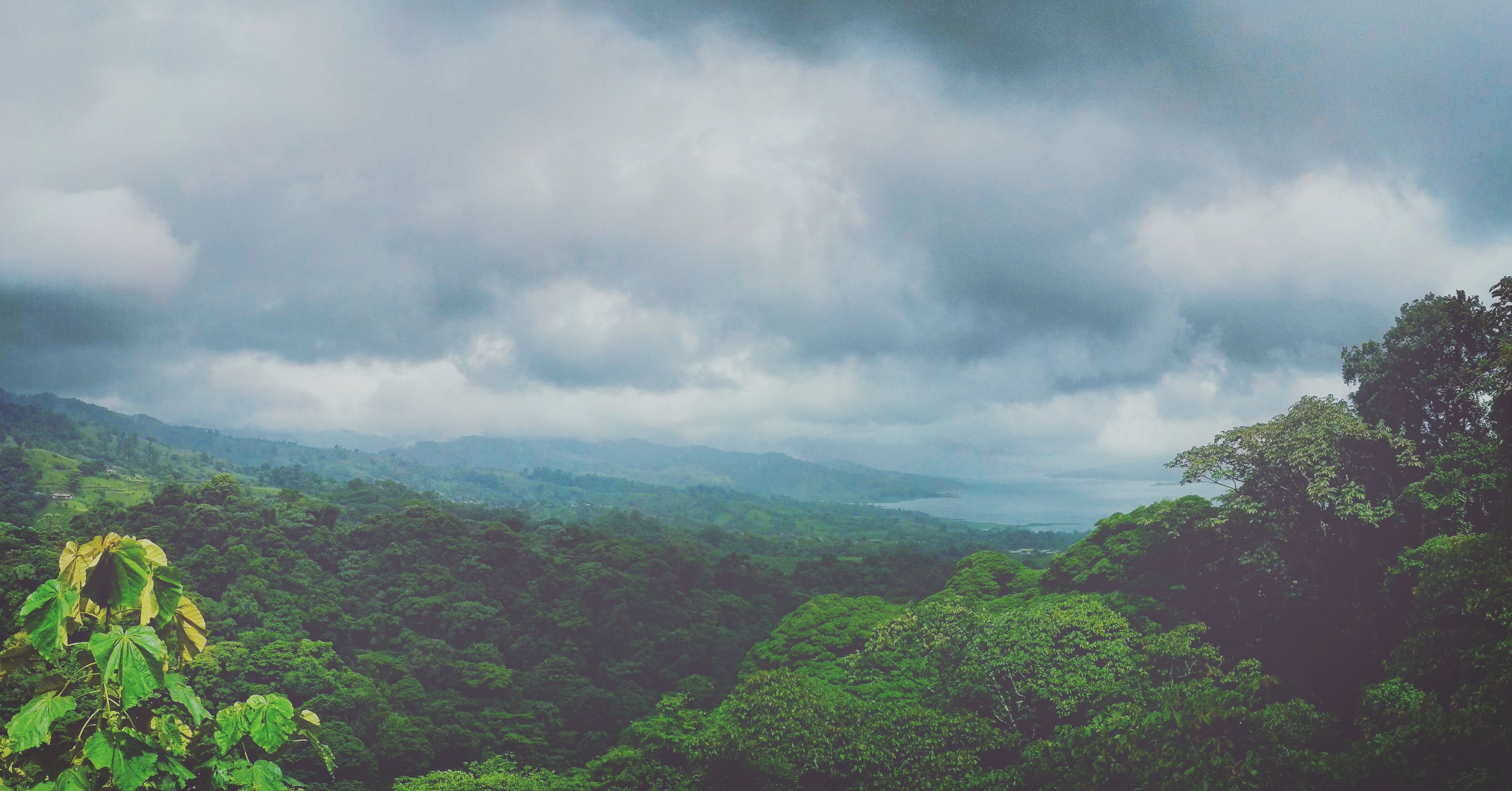 sky, nature, beauty in nature, idyllic, 4K, non-urban scene, land, no people, cloud - sky, growth, outdoors, green color, tea crop, environment, trees, HD Wallpaper