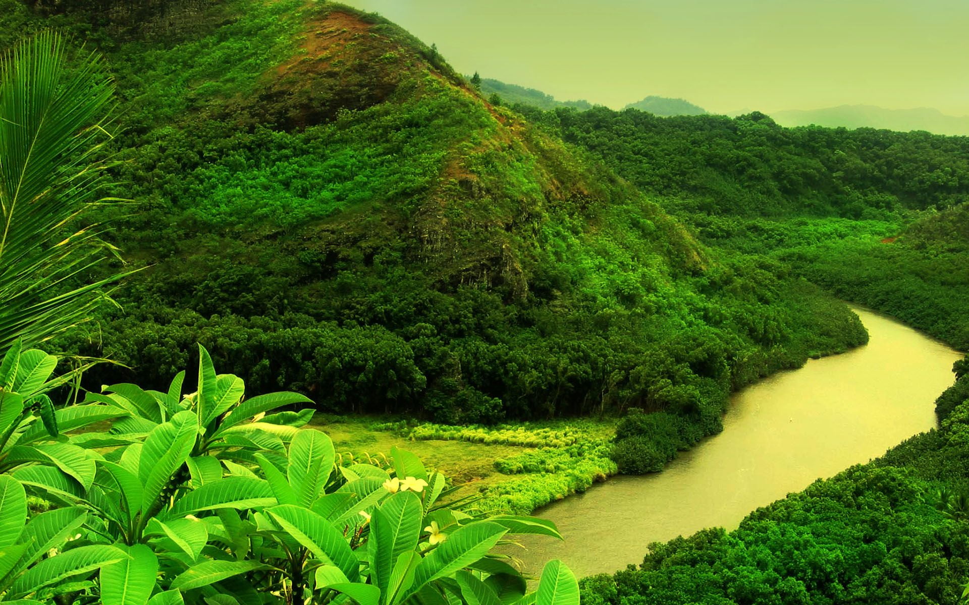 scenics, thailand, asia, 1080P, kerala, landscaped, no people, rural Scene, river, green, plant, outdoors, environmental Conservation, tree, foliage, hill, HD Wallpaper