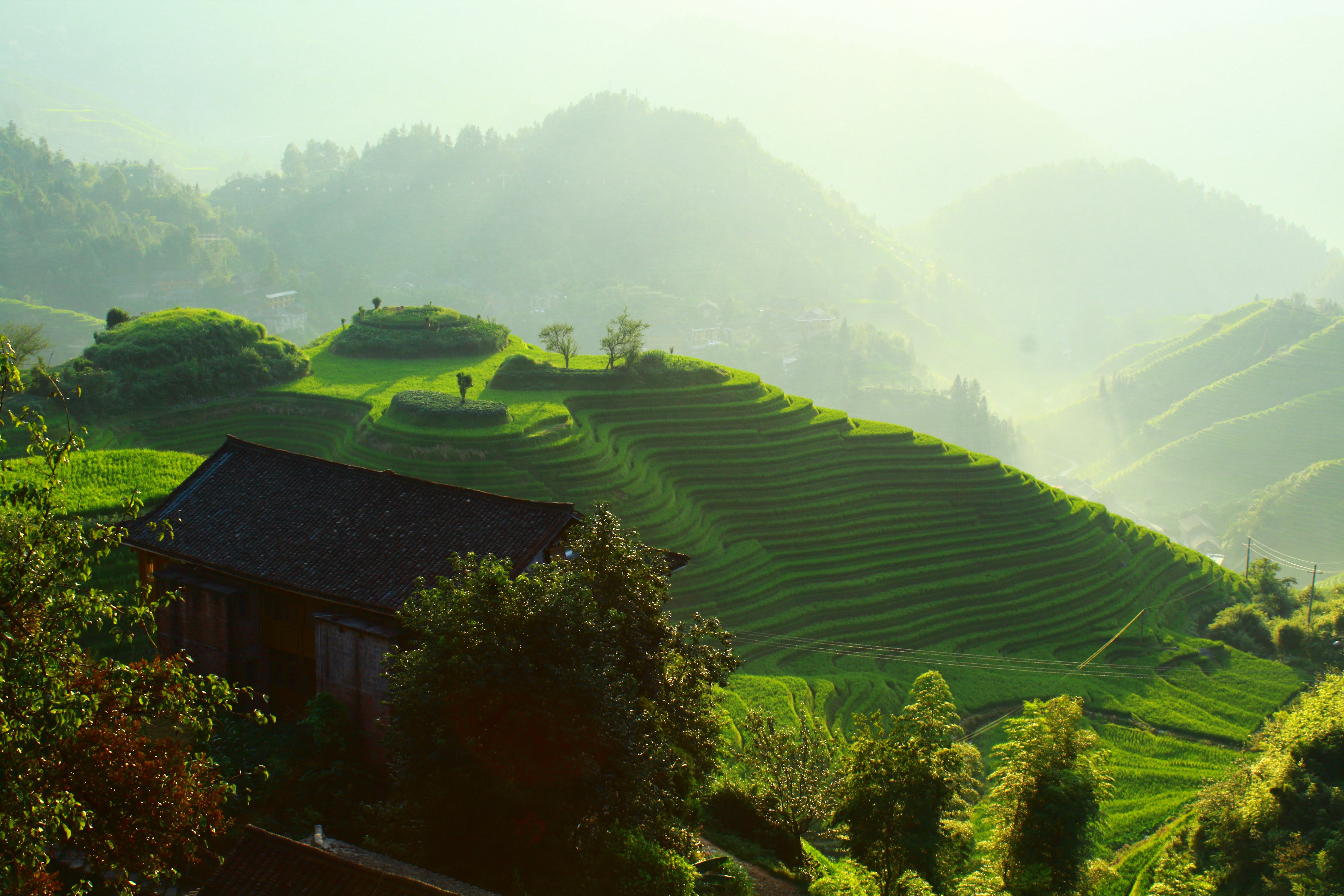 grass, tranquility, mountain, sunrise, architecture, tea Crop, nature, no people, landscape, sun, rice Paddy, terraced Field, environment, building, built structure, HD Wallpaper