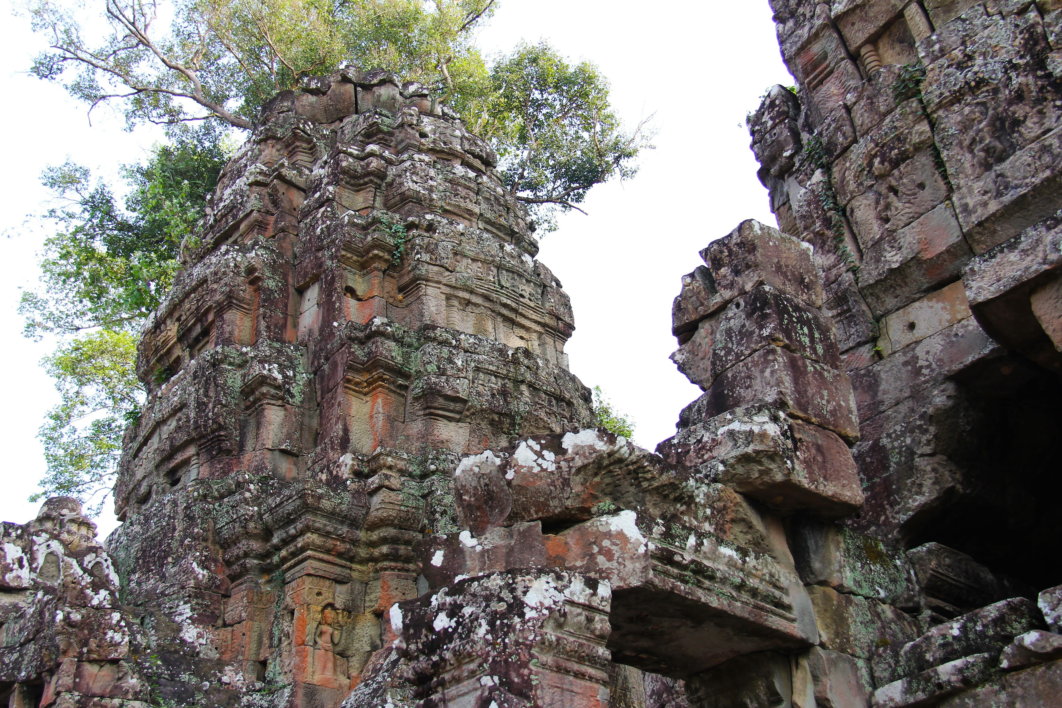 plant, place of worship, beautiful, siem reap, sky, architecture, travel, tourist, ruined, archaeology, day, asia, heritage, cambodia, unesco, tree, no people, HD Wallpaper
