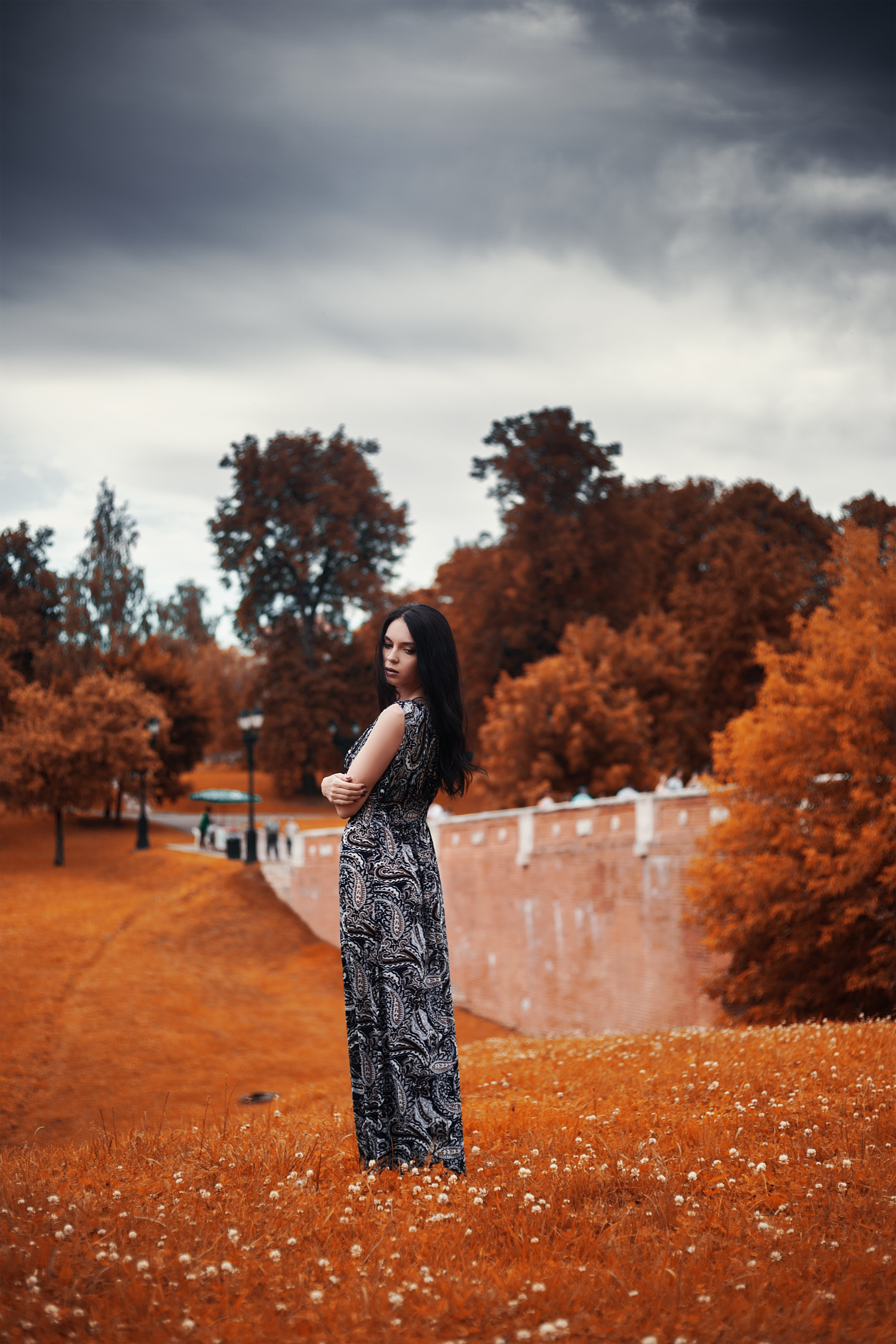dark background, beautiful woman, style, black hair, young women, nature, cute, summer, fear, model, near, hairstyle, woman, in the fall of, black, leisure activity, Phone HD Wallpaper