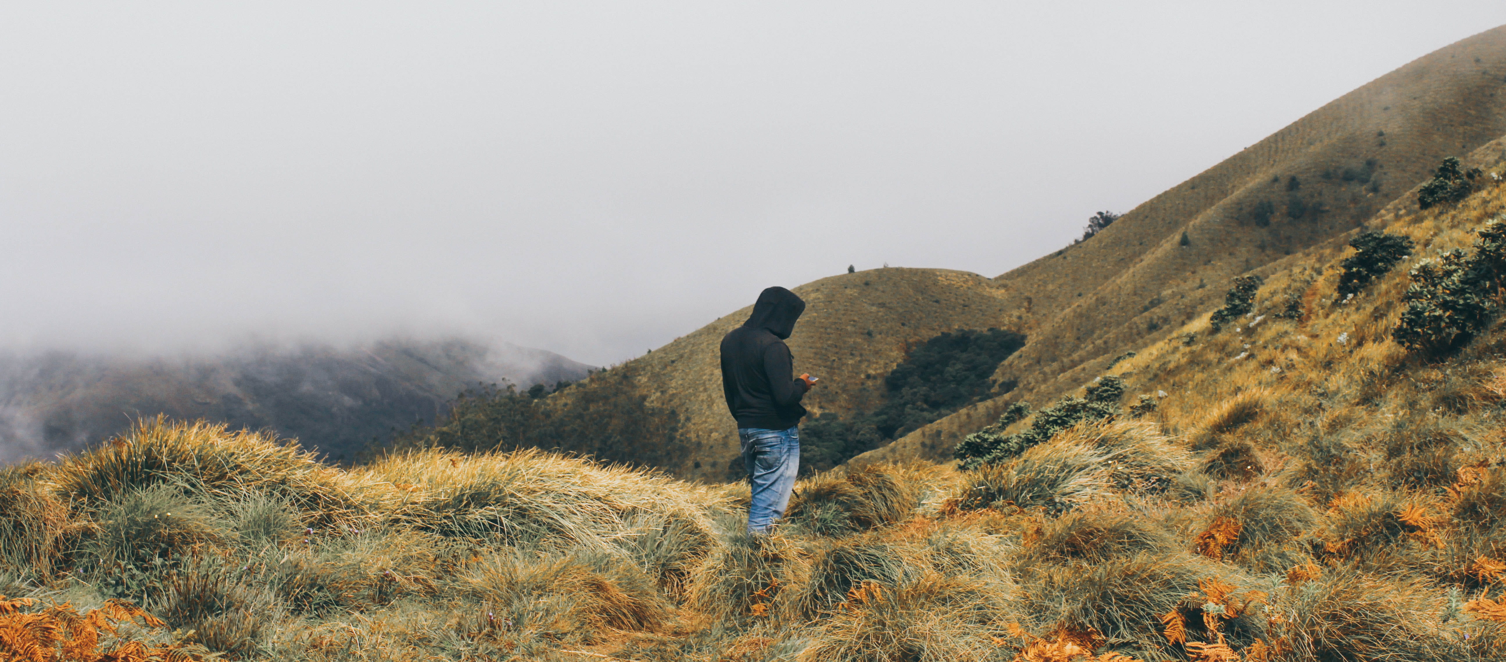 one person, hill, outdoors, nature, lifestyles, plant, blue, alone, environment, rear view, fog, green, beauty in nature, leisure activity, landscape, man, HD Wallpaper