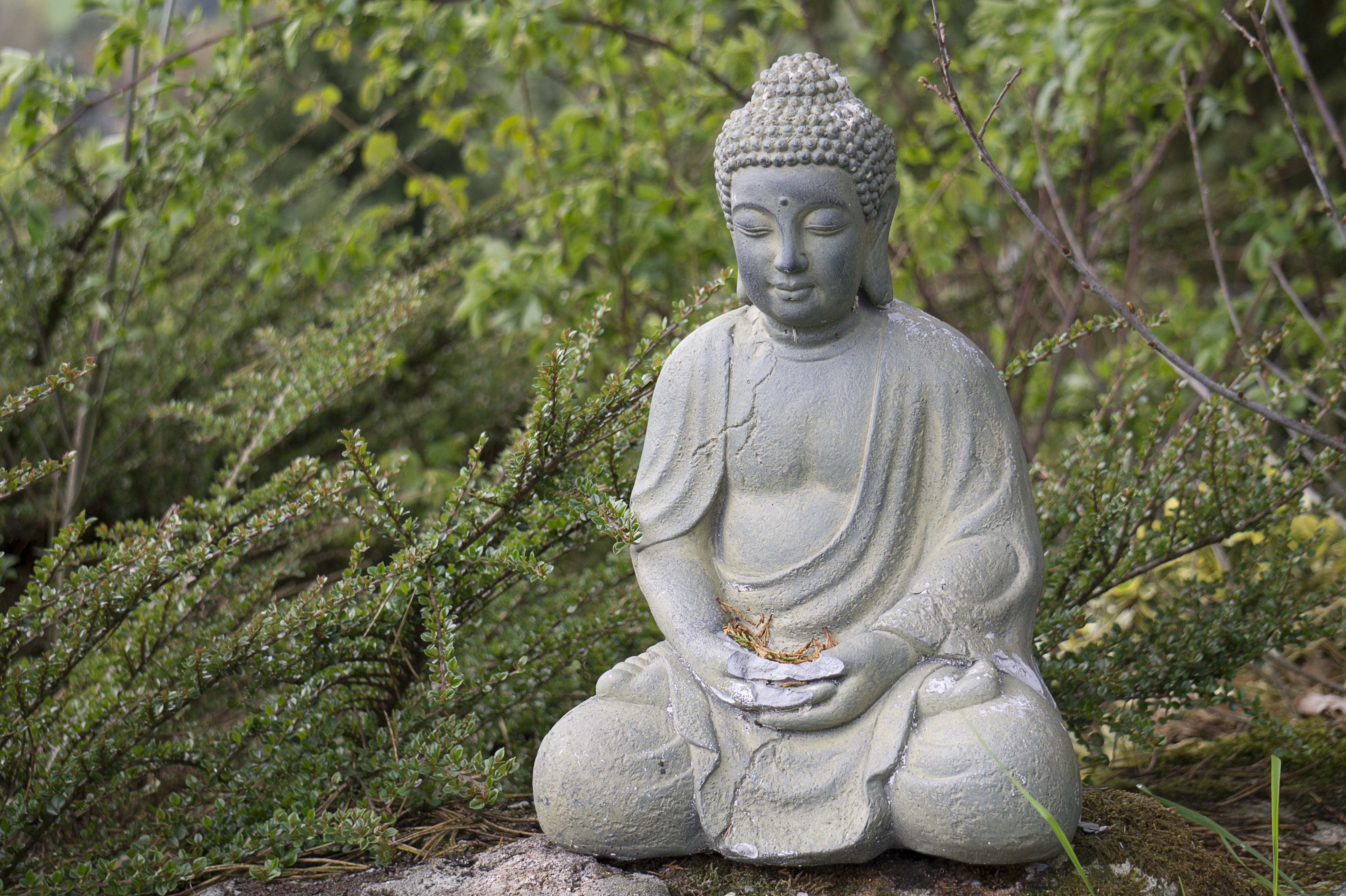 symbol, religion, plant, 4K, day, belief, no people, statue, tranquility, nature, thailand, spirituality, statuette, tree, buddhism, historically, solid, HD Wallpaper