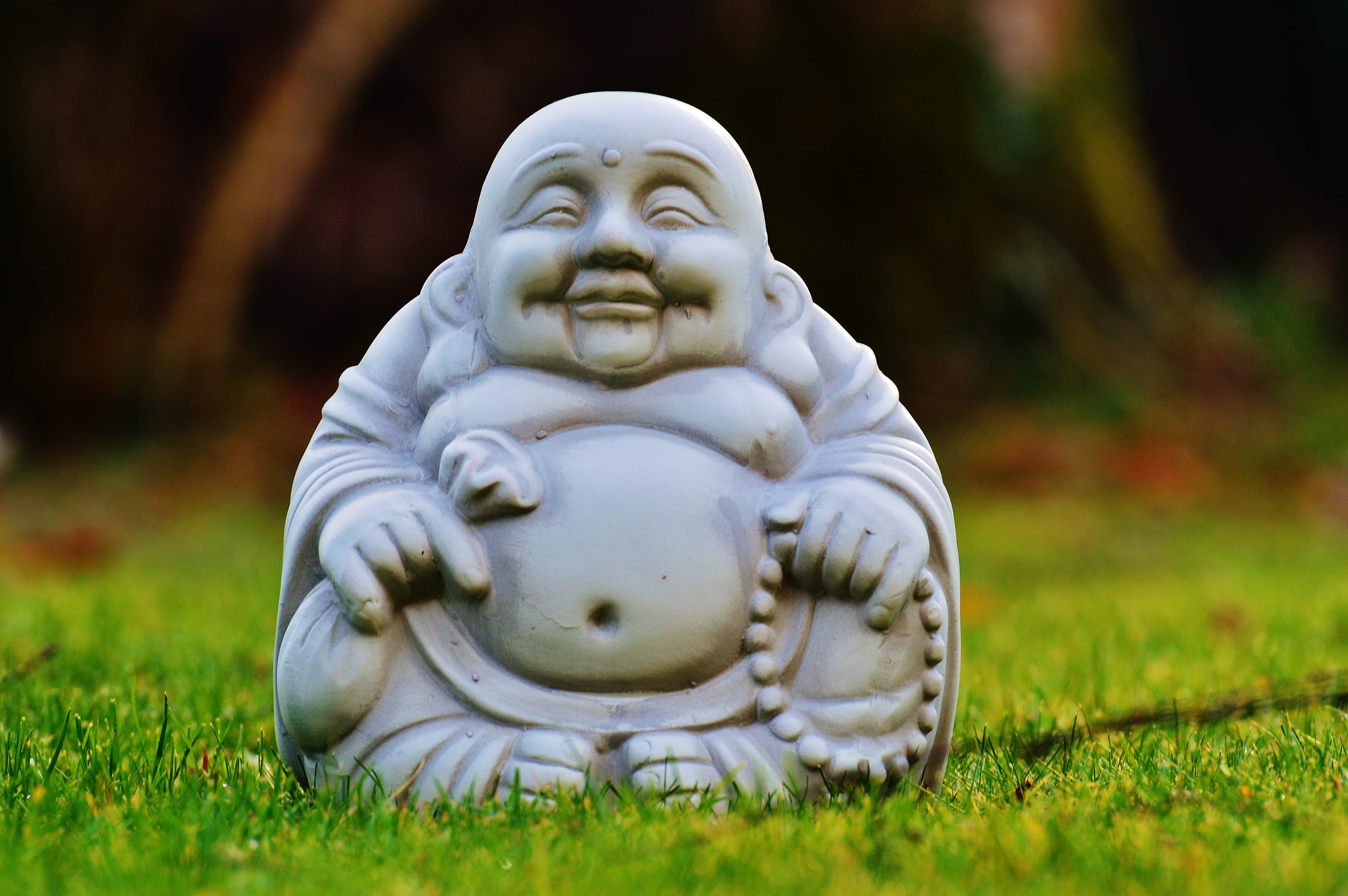 plant, childhood, sculpture, no people, relaxation, spiritual, autumn, angel, children only, Buddhism, nature, Rest, stone figure, male likeness, Figure, HD Wallpaper