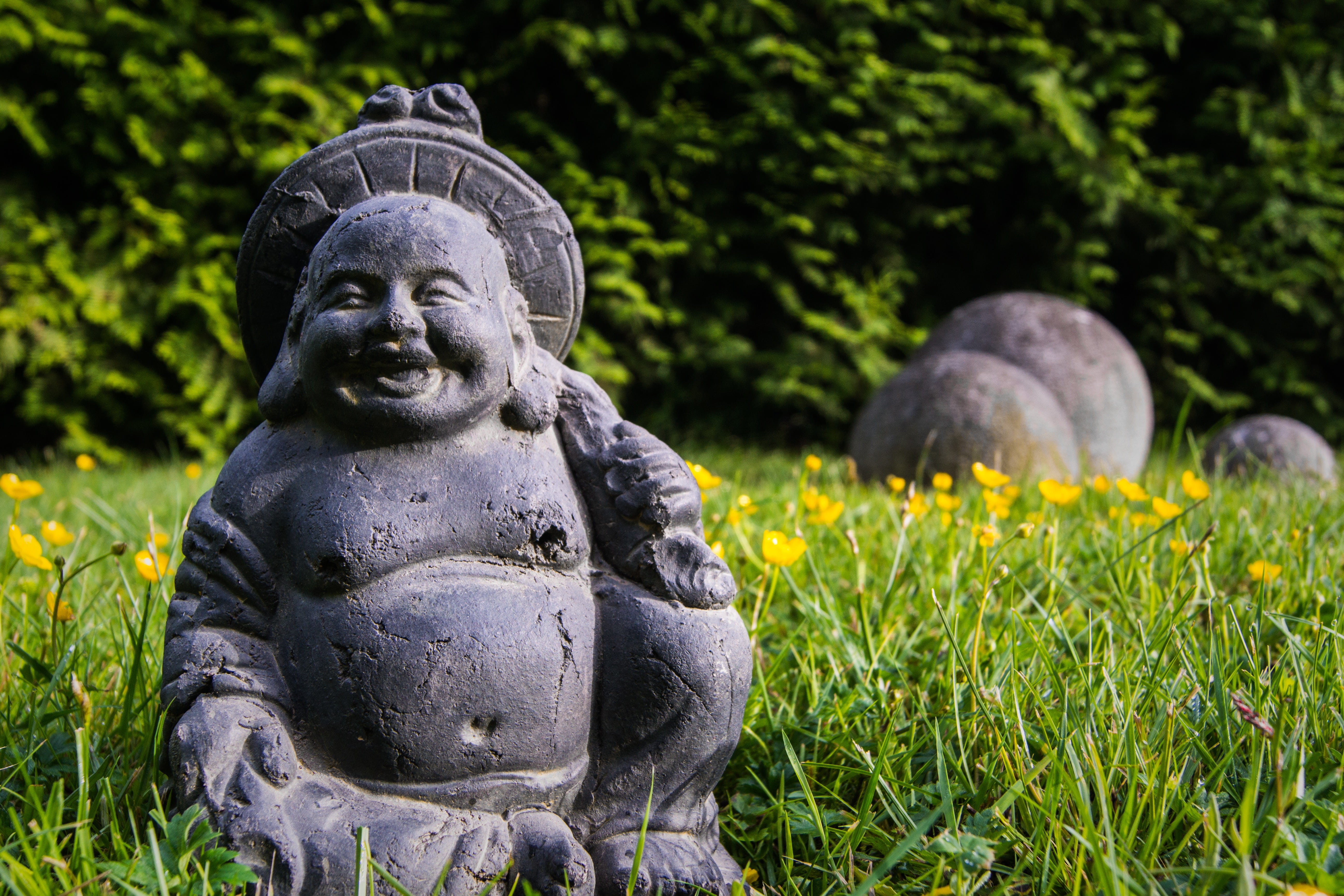 buddha, wellness, spirituality, rest, close-up, garden architecture, religion, chinese, far eastern, day, relaxation, grass, china, field, garden, zen, HD Wallpaper