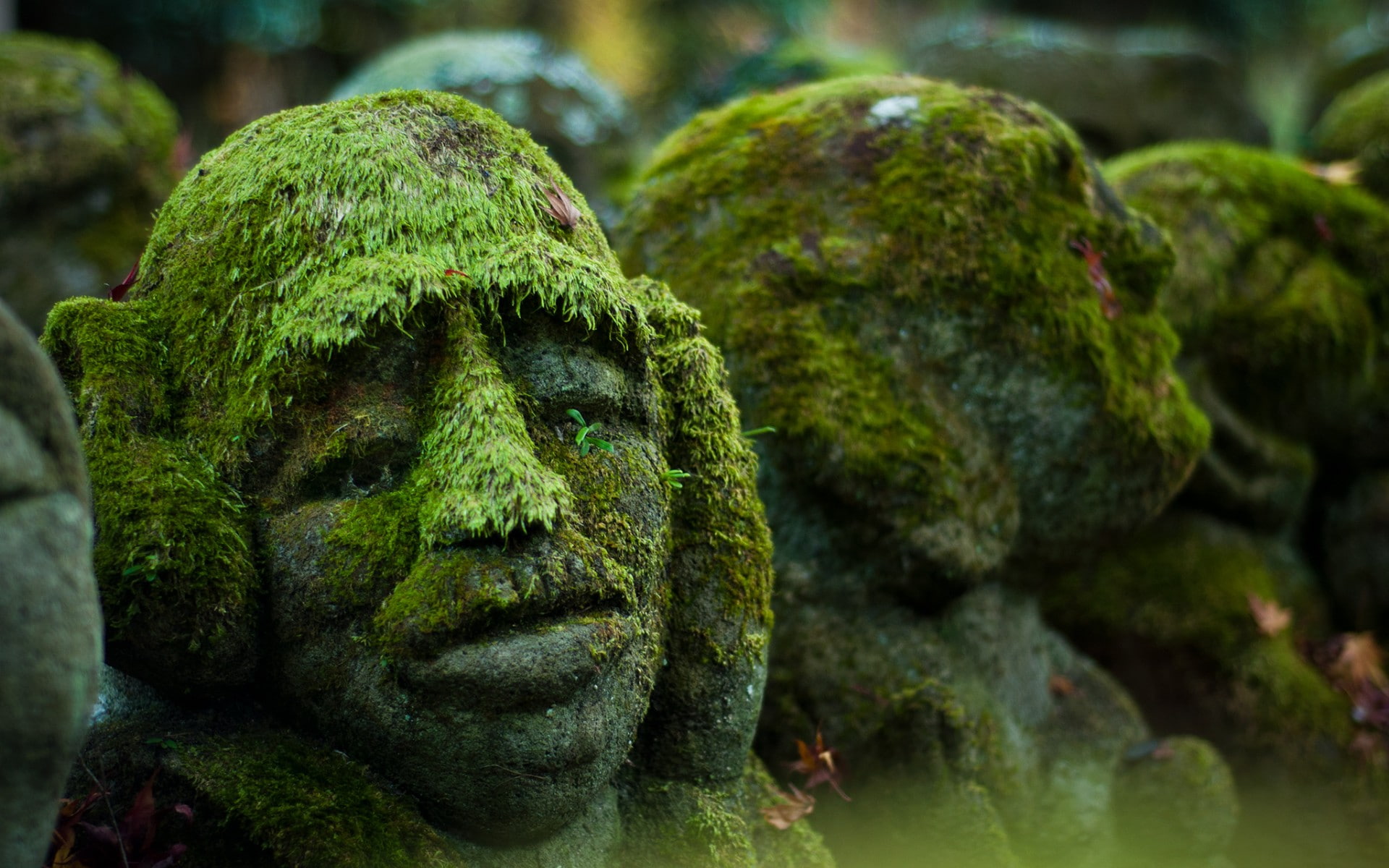 moss, face, sculpture, stones, 1080P, HD Wallpaper