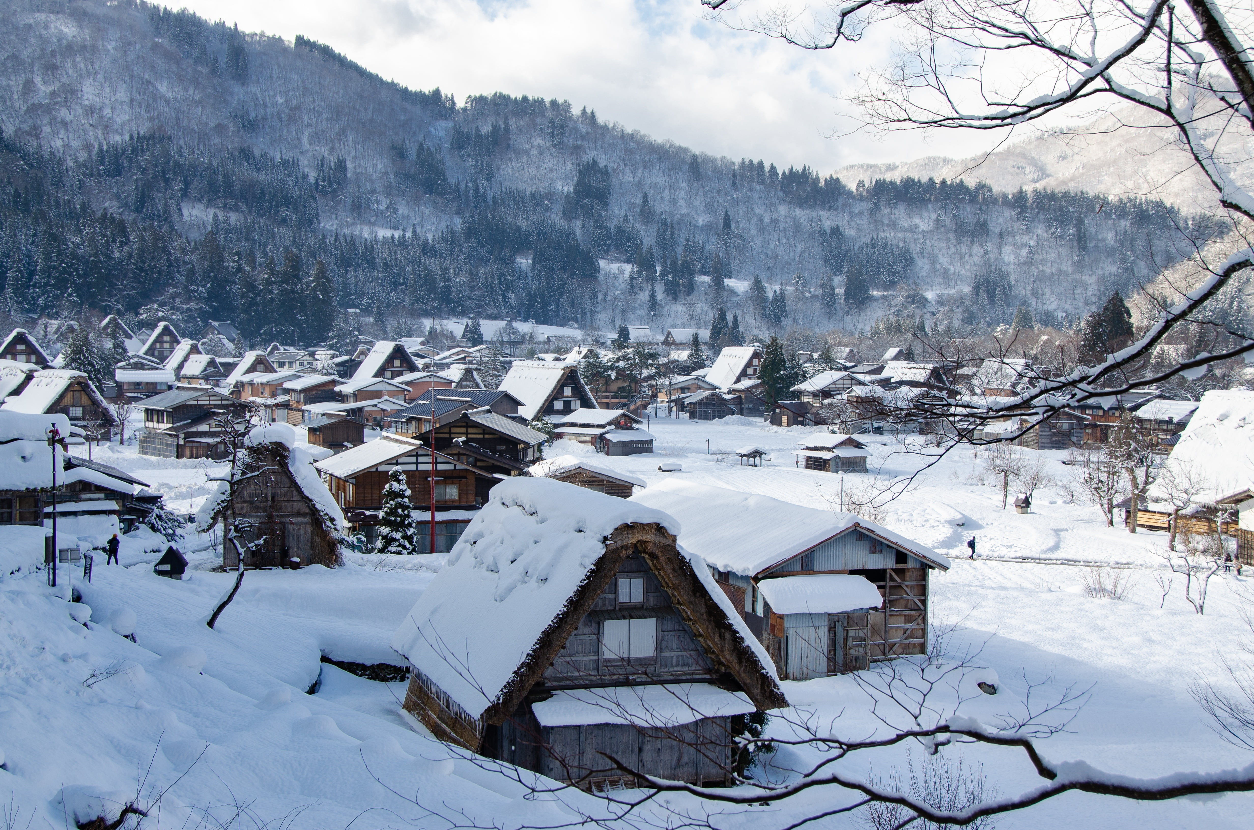 snow, forest, Japan, winter, mountains, 4K, Shirakawa-go, hills, home, branches, village, HD Wallpaper
