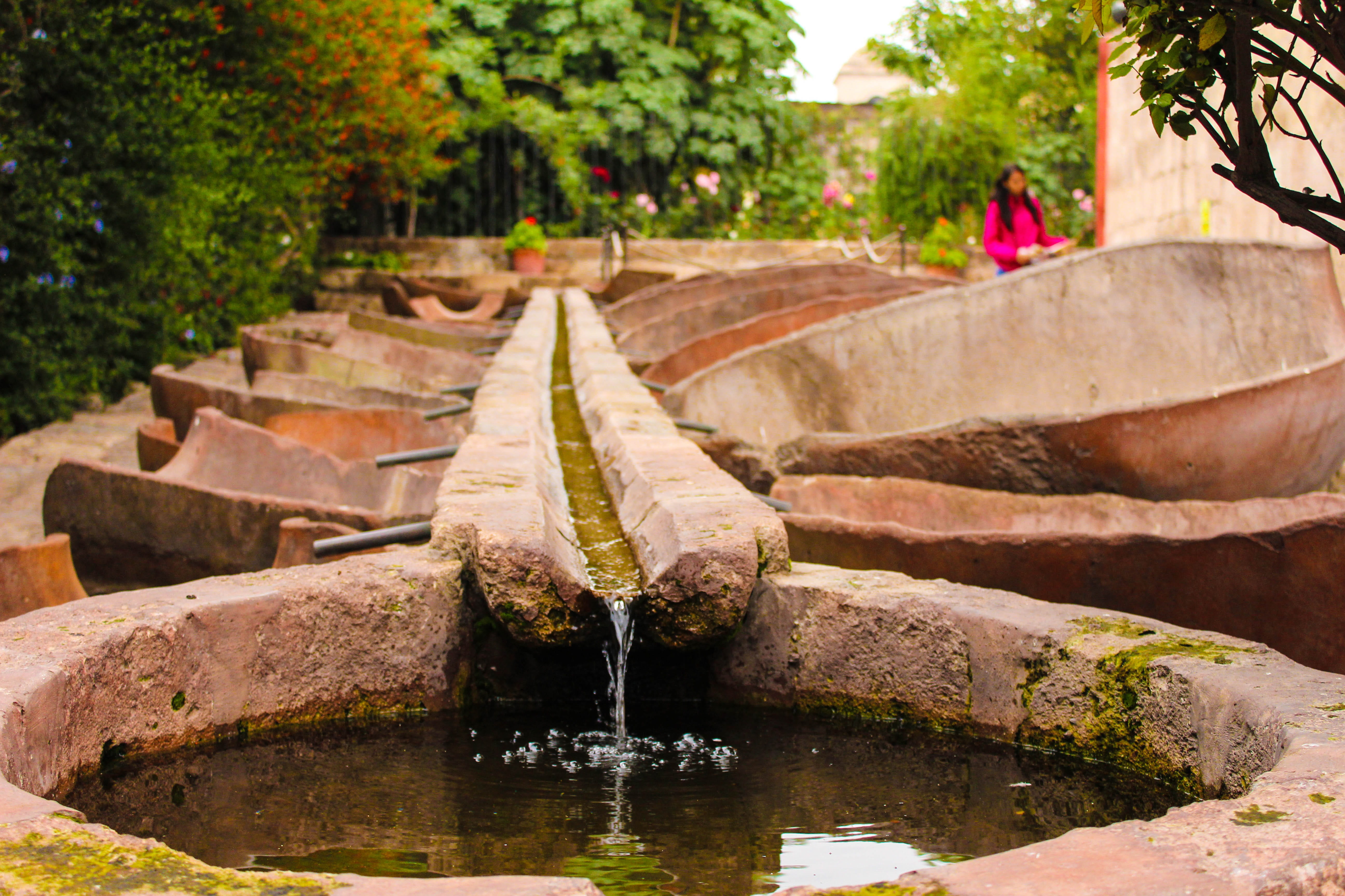 plant, 5K, arequipa, formal garden, day, rock, no people, focus on foreground, ornamental garden, outdoors, source, animal themes, nature, fountain pond, HD Wallpaper