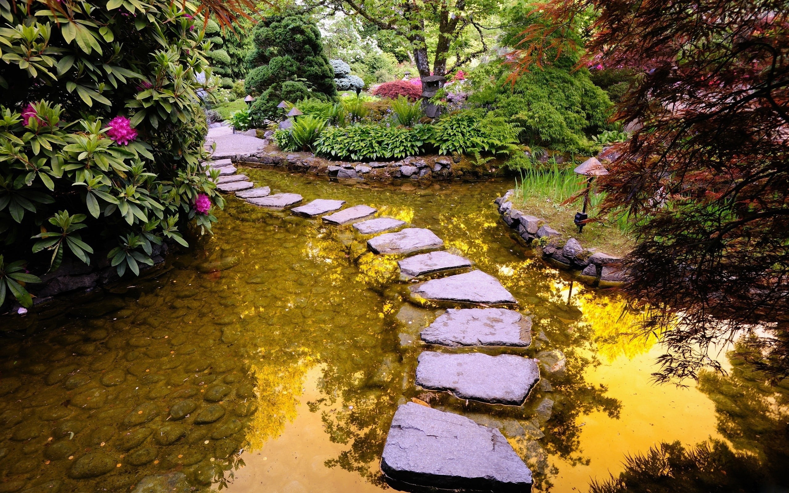 tranquility, rock, Flora and fauna, Bottom, flowing, plant, Path, Garden, tree, solid, Layers, outdoors, Smooth, stepping stone, stream - flowing water, HD Wallpaper