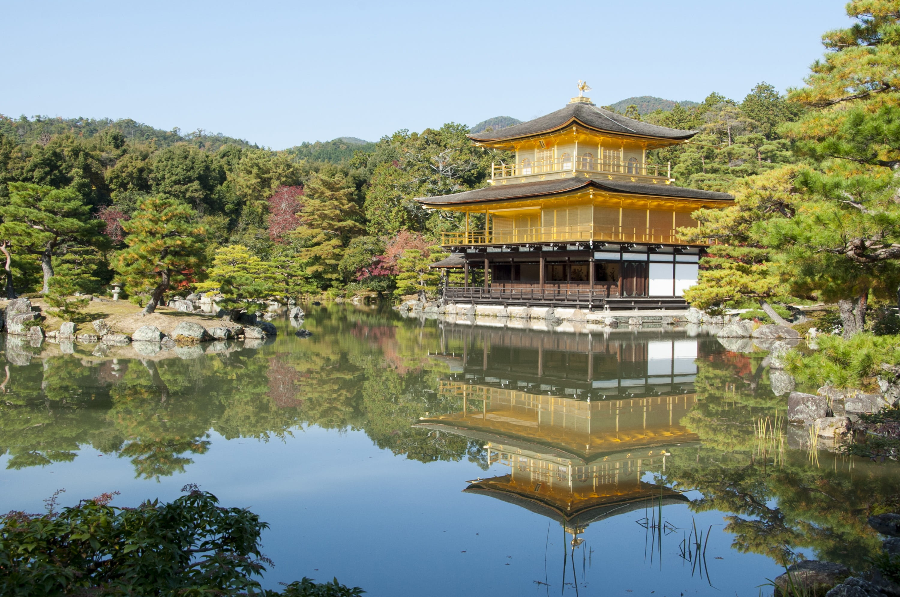 plant, nature, ancient, temple, belief, religion, architecture, place of worship, lake, outdoors, 2K, japan, waterfront, tree, built structure, building exterior, HD Wallpaper