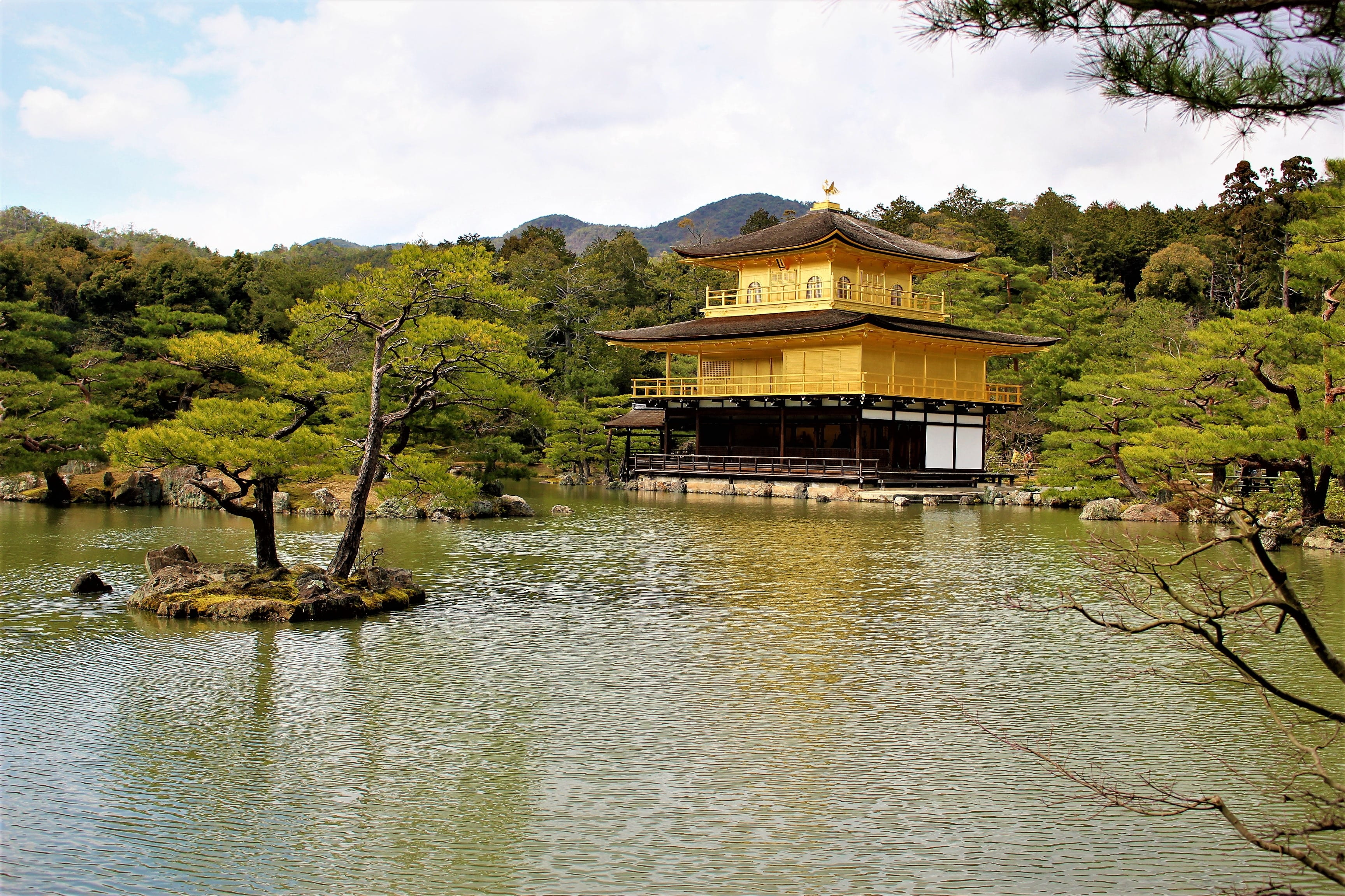 tree, outdoors, plant, monument, japan, golden pavilion, unesco, nature, cloud - sky, building exterior, belief, spirituality, water, no people, travel, HD Wallpaper