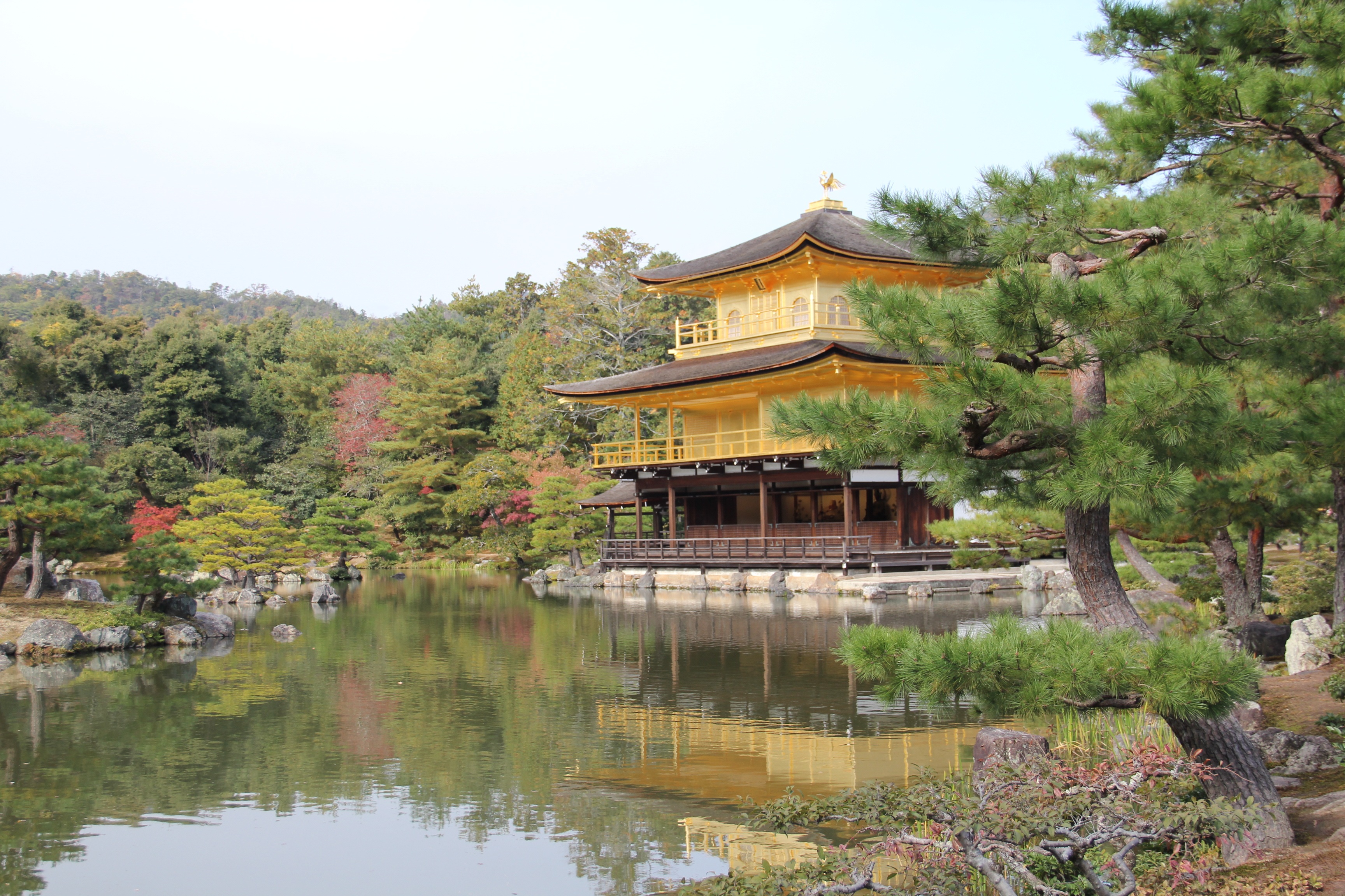 religion, place of worship, day, japan, kyoto, building, 2K, lake, water, outdoors, sky, reflection, tree, waterfront, built structure, spirituality, building exterior, HD Wallpaper
