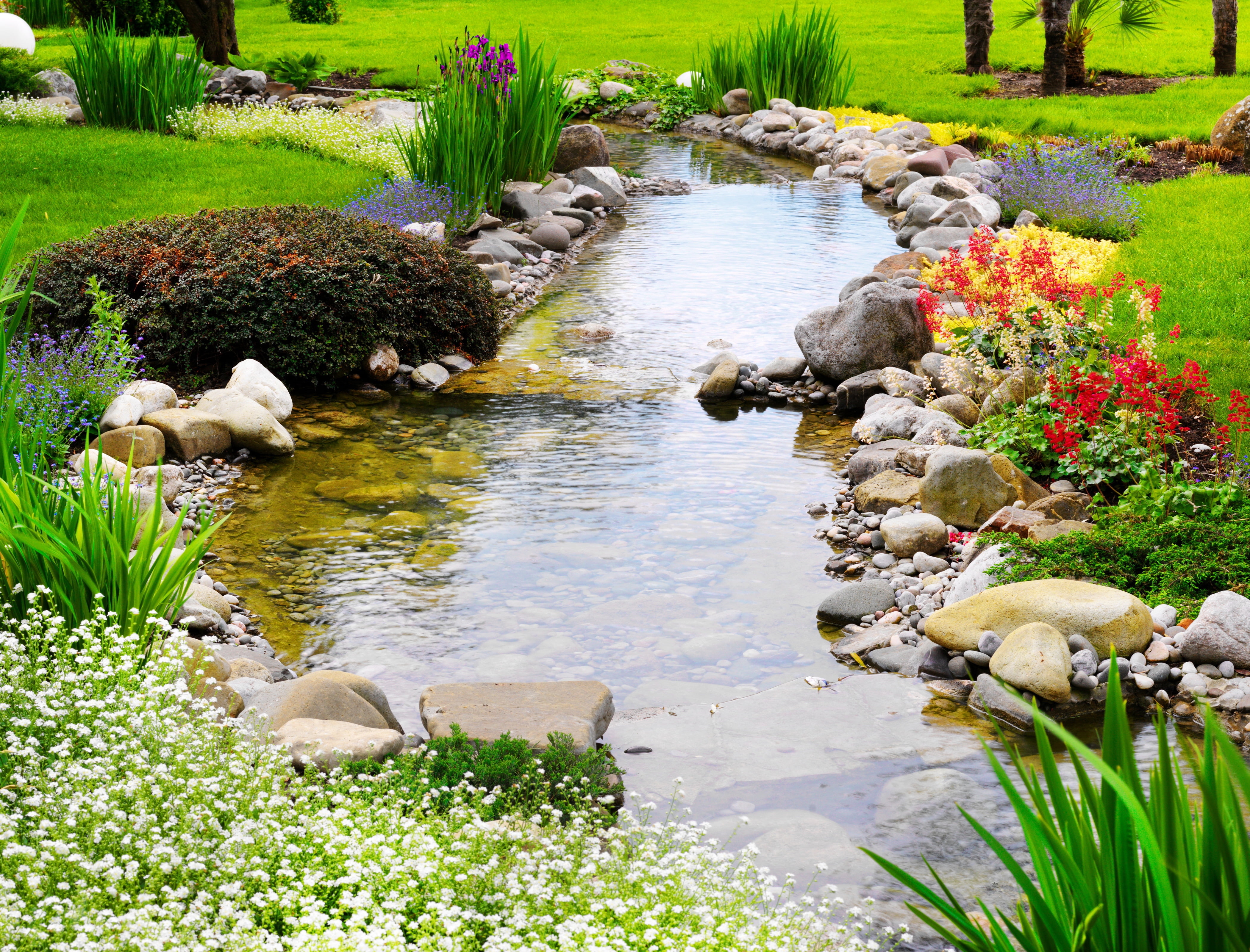 animal themes, tree, outdoors, bush, river, grass, growth, flowerbed, nature, landscape, summer, scenics, ornamental Garden, greens, lawn, vertebrate, flower, HD Wallpaper