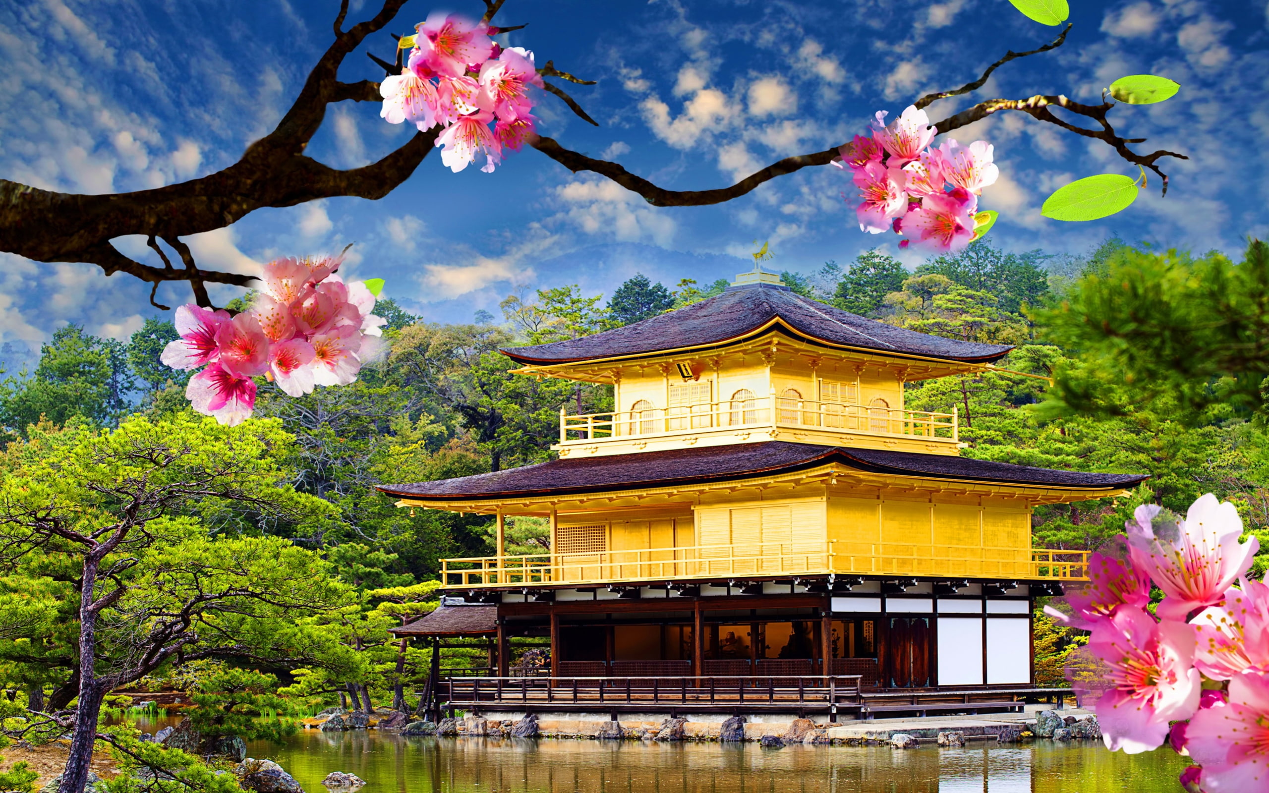 wide, 2K, kinkaku, ji, golden, pavilion, HD Wallpaper