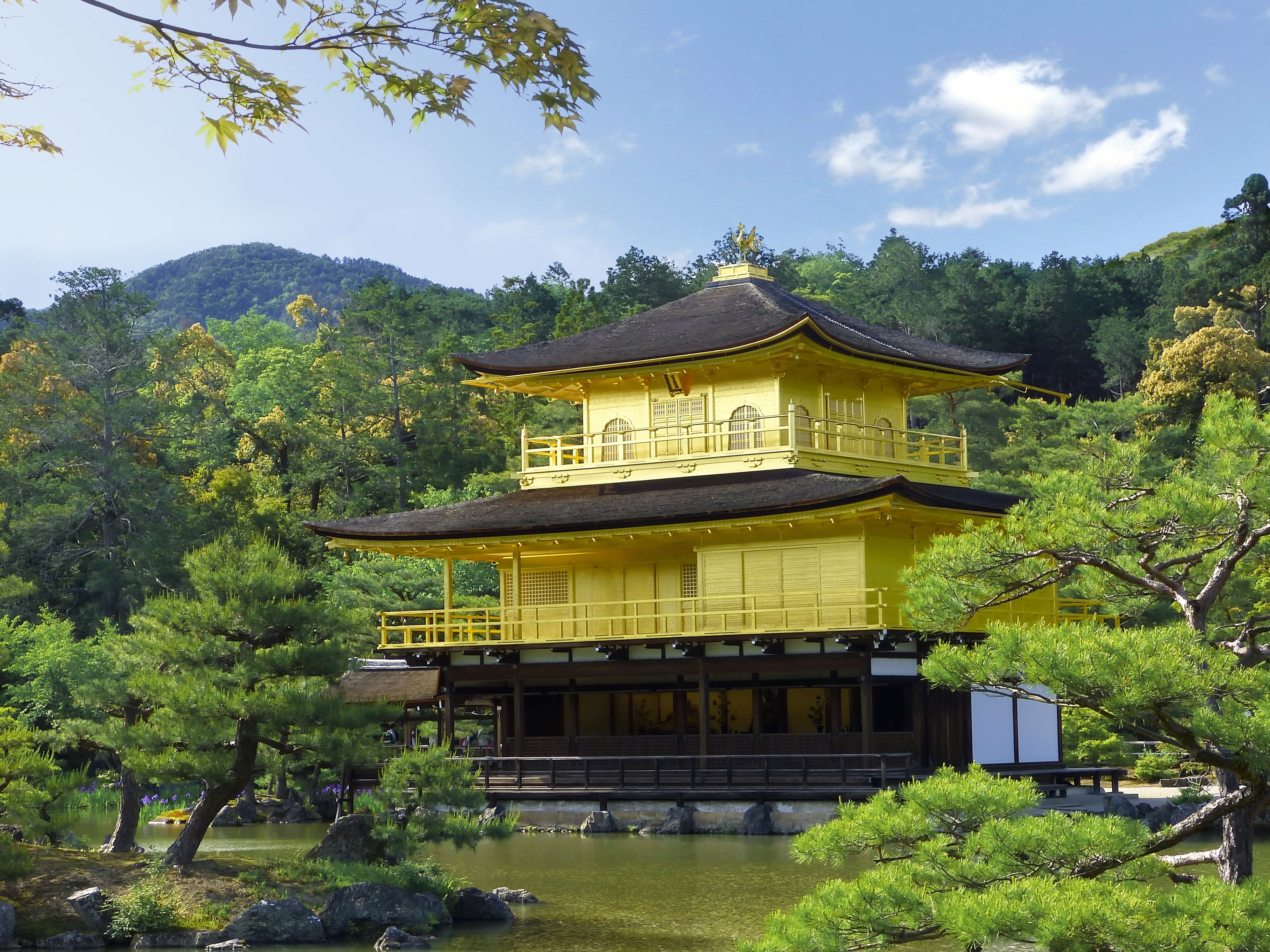shrine, garden, landscape, built structure, 4K, japanese, plant, outdoors, nature, place of interest, pond, plants, green color, historic site, tree, day, HD Wallpaper
