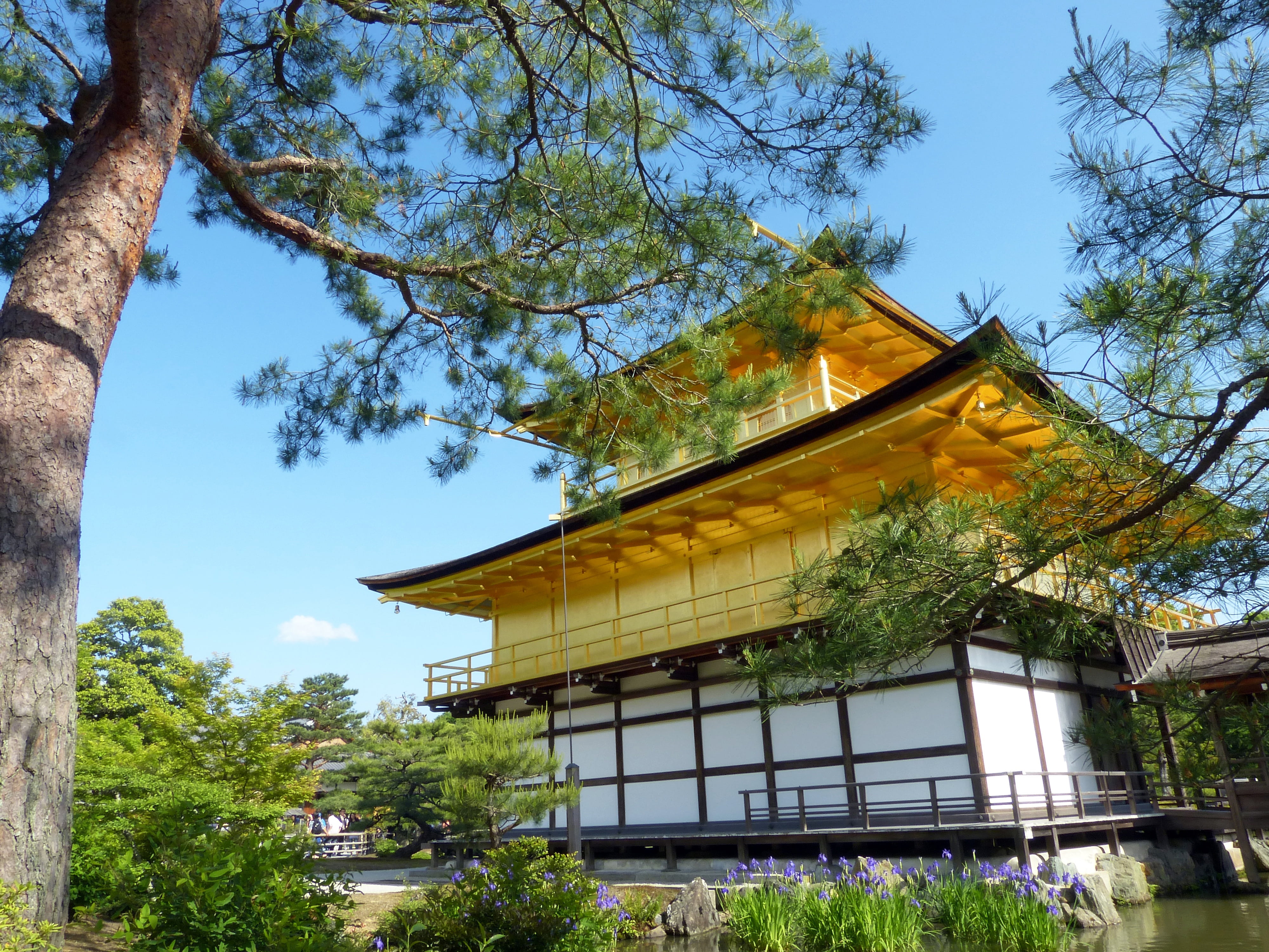 plant, architecture, outdoors, religion, place of interest, building exterior, park, 4K, place of worship, historic site, japan, nature, muromachi period, HD Wallpaper