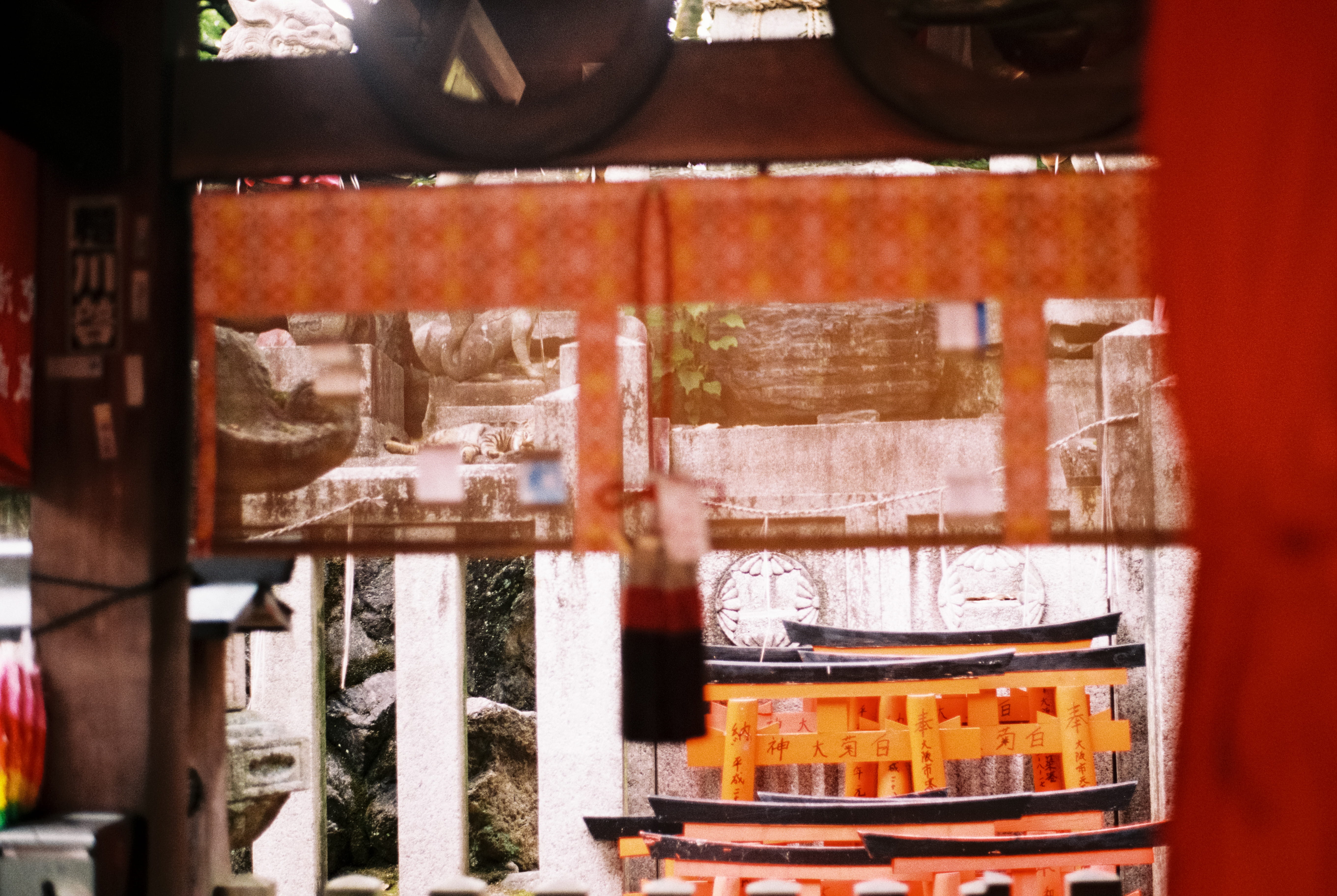 no people, building, graveyard, fushimi inari-taisha, kyōto-shi, window, shrine, focus on foreground, indoors, japan, lazy, shelf, architecture, large group of objects, HD Wallpaper