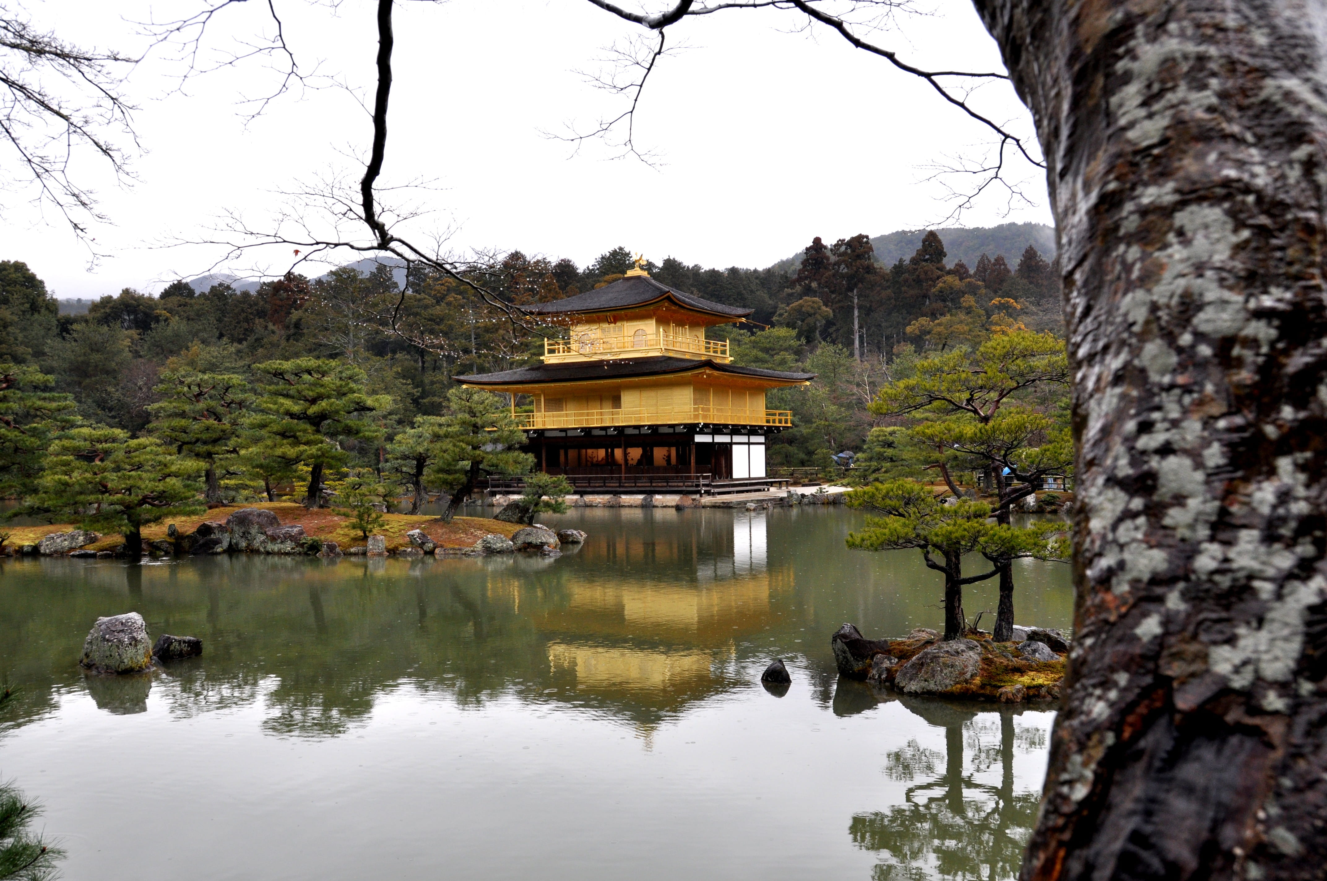 water, plant, lake, shogun ashikaga yoshimitsu, built structure, kyoto, place of worship, day, architecture, 4K, building exterior, sky, ji, kinkaku ji, HD Wallpaper
