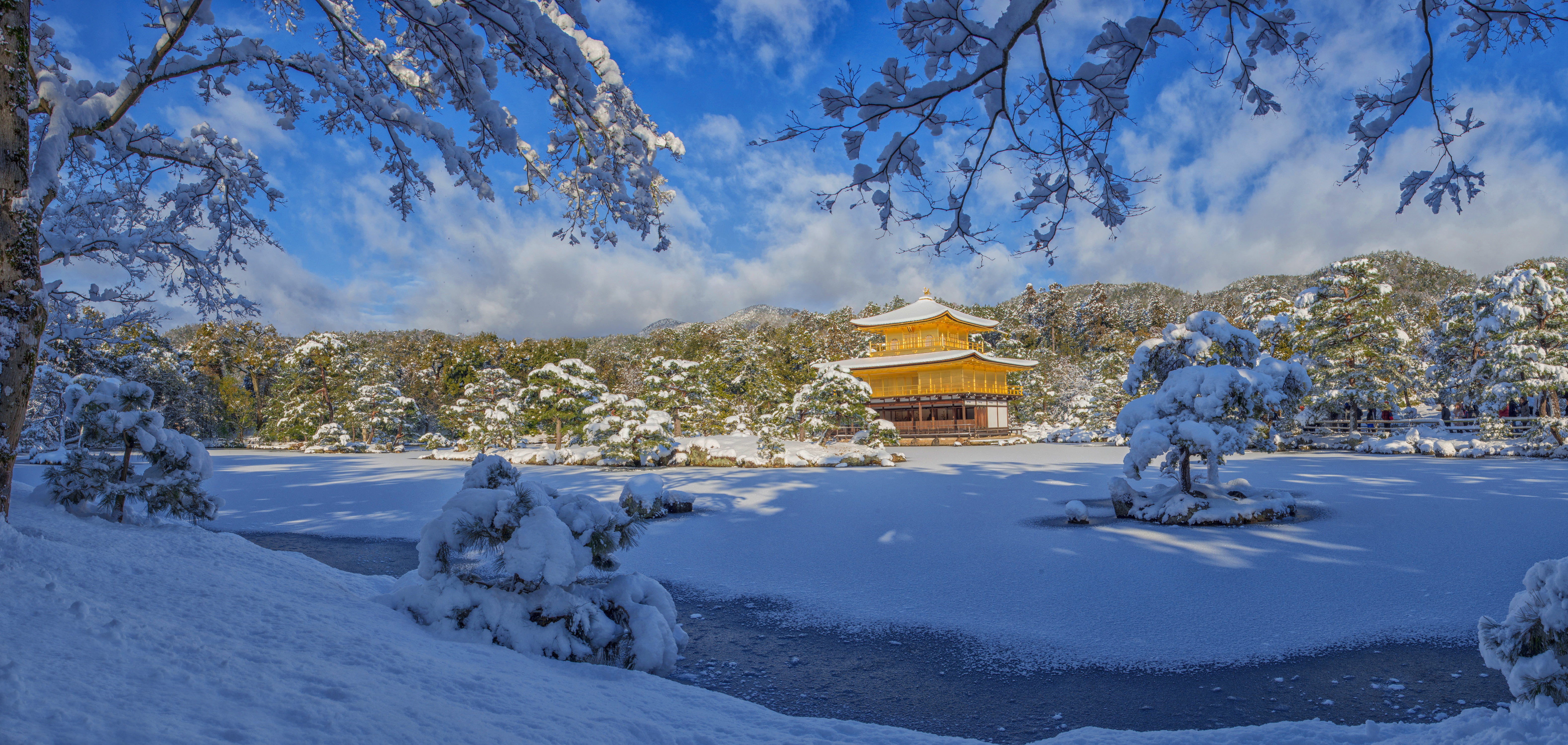 the world cultural heritage, frozen, kyoto, religion, no people, cold temperature, panoramic landscape, tourism, outdoors, pagoda, surrounded, plant, travel destinations, HD Wallpaper
