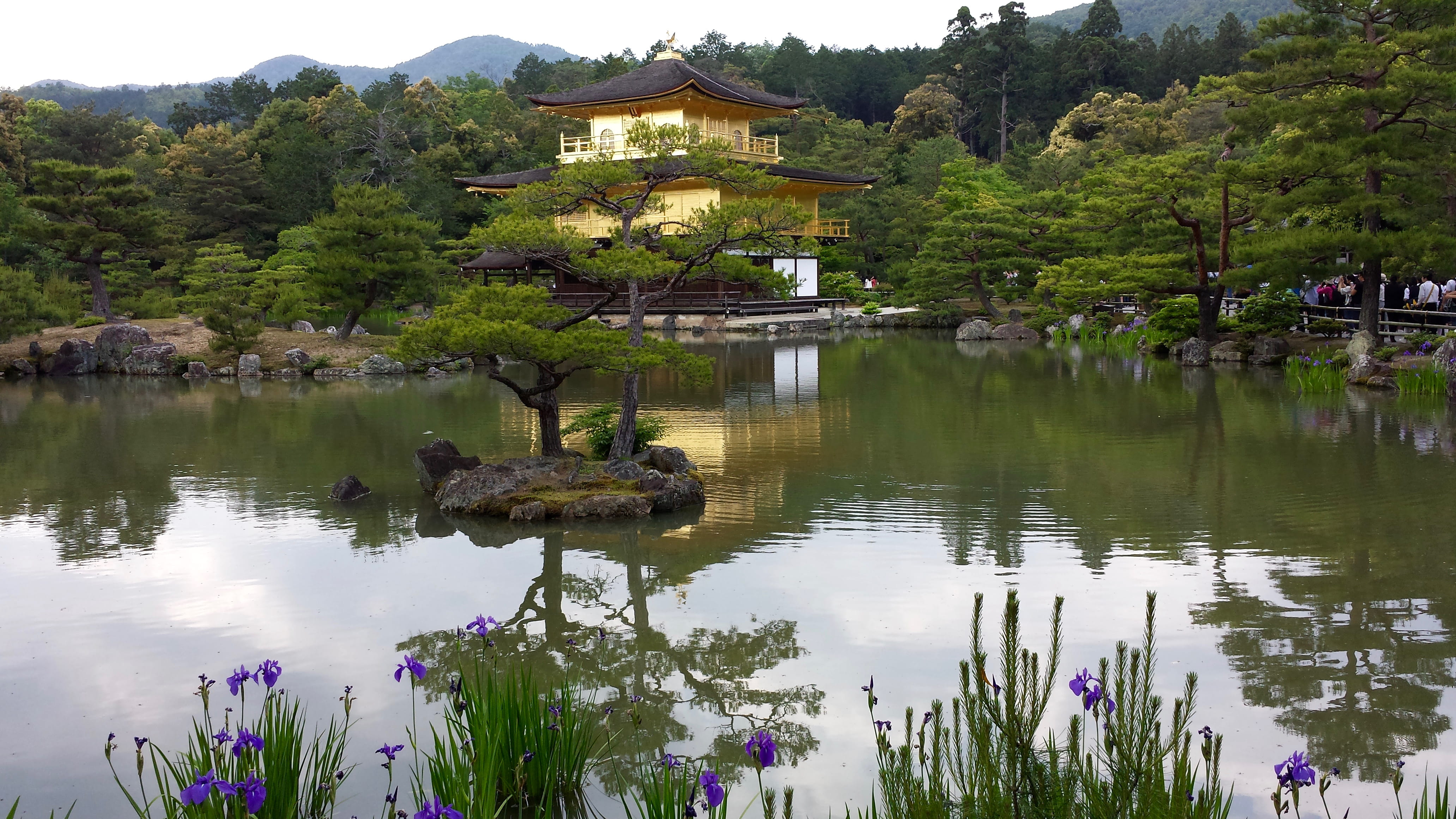 tranquil scene, building, growth, architecture, reflection, 4K, tree, kyōto-shi, outdoors, scenics - nature, no people, nature, day, lake, plant, religion, HD Wallpaper