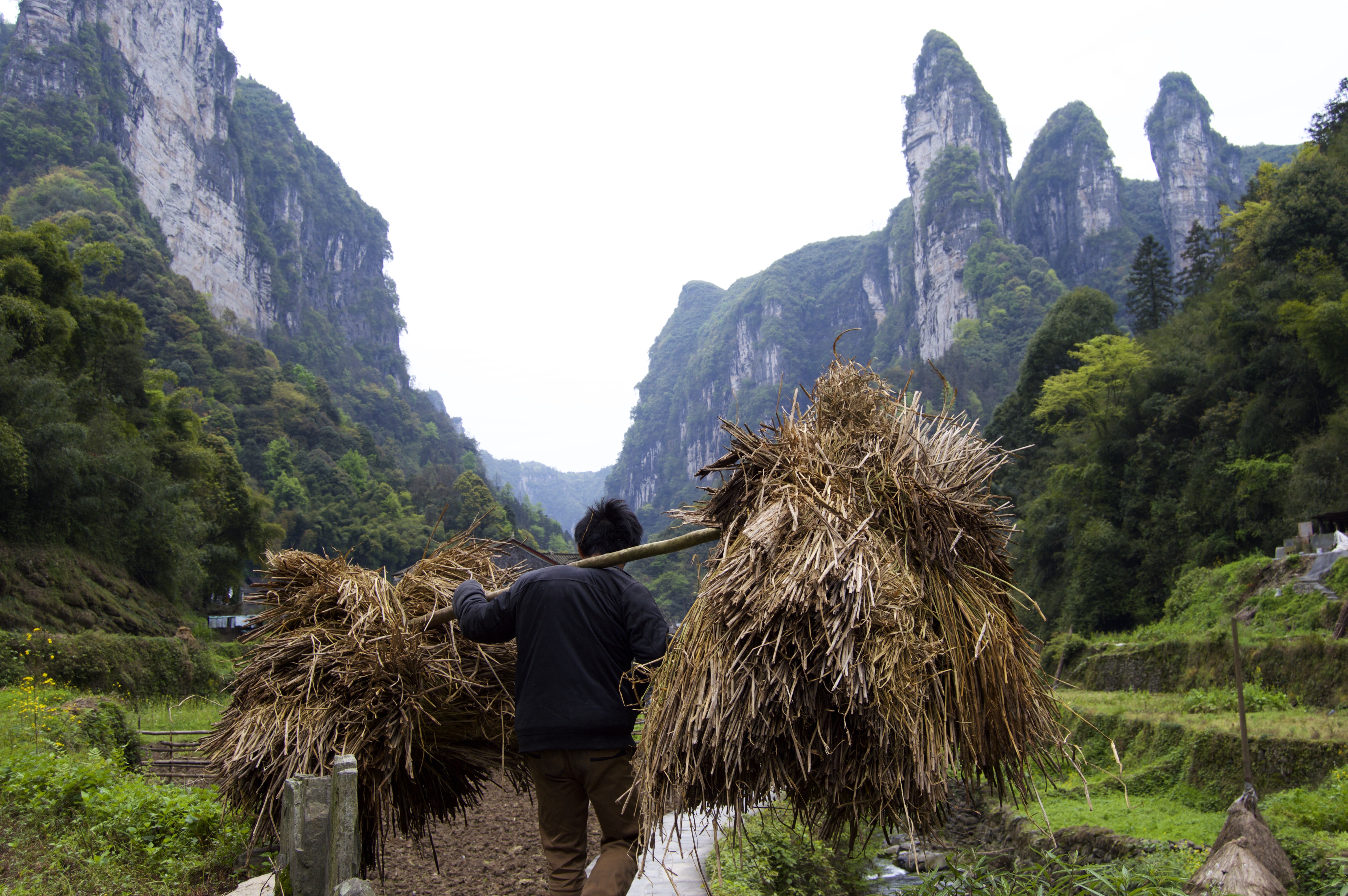 scenics - nature, tranquil scene, china, 5K, pole, rear view, hay, occupation, non-urban scene, fenghuang, workers, outdoors, people, sky, tranquility, HD Wallpaper
