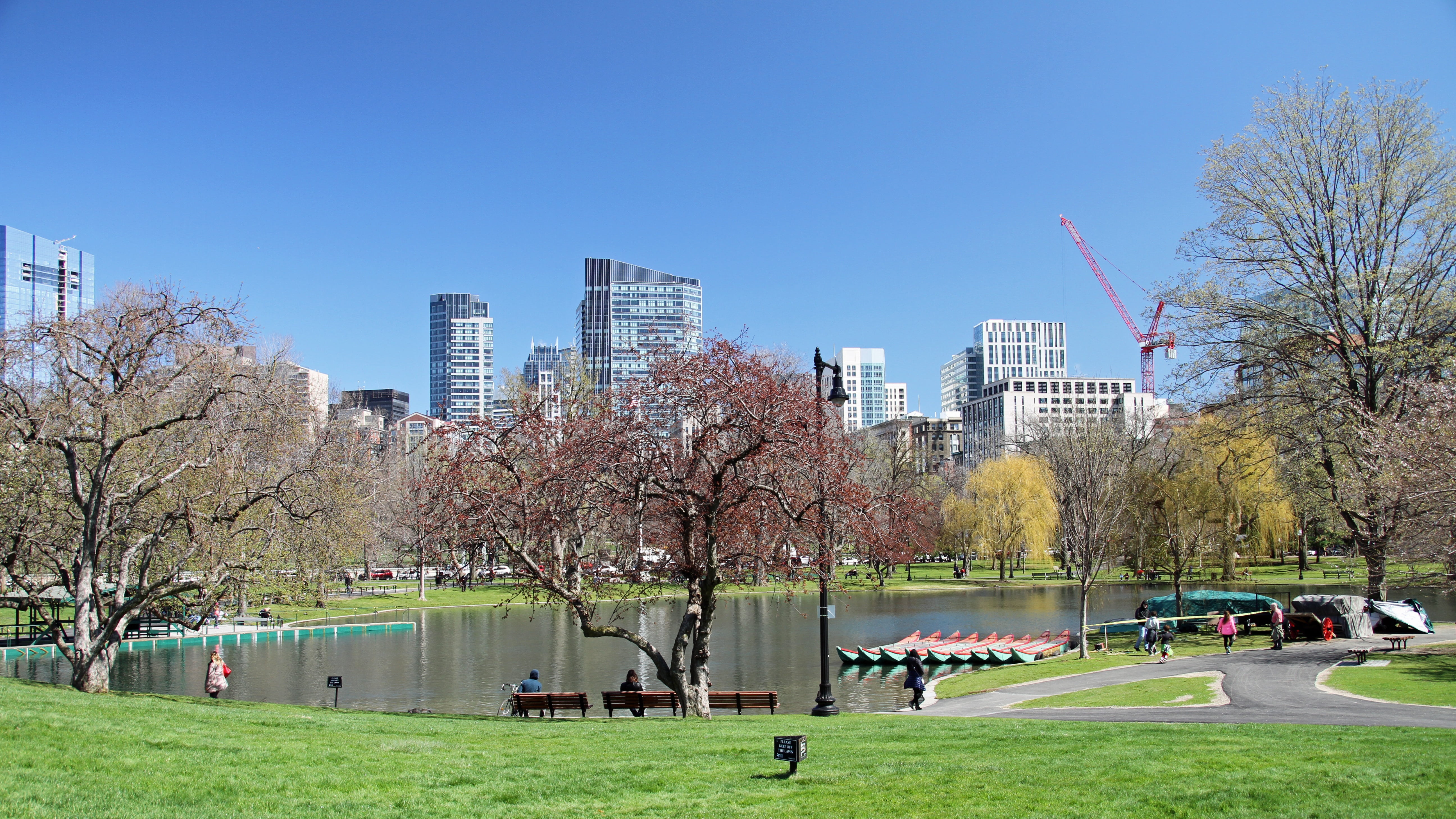 sky, park, no people, skyscraper, city, common, 5K, built structure, day, tree, plant, nature, grass, public garden, building, travel destinations, office building exterior, HD Wallpaper