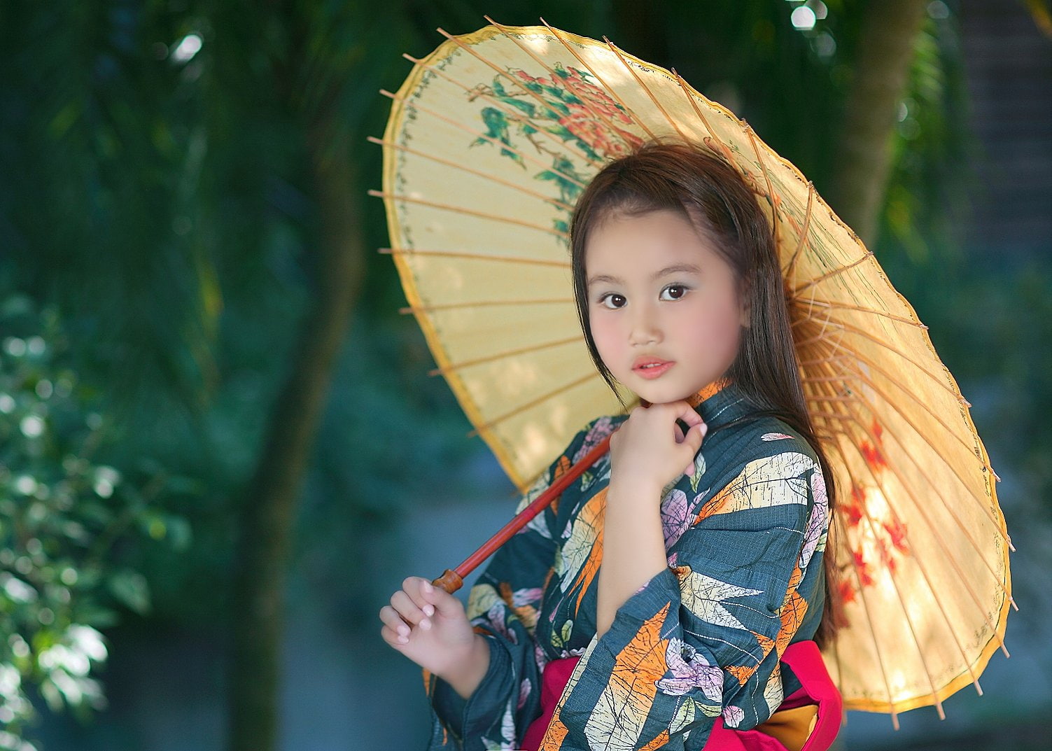 720P, bao, tran, HD Wallpaper