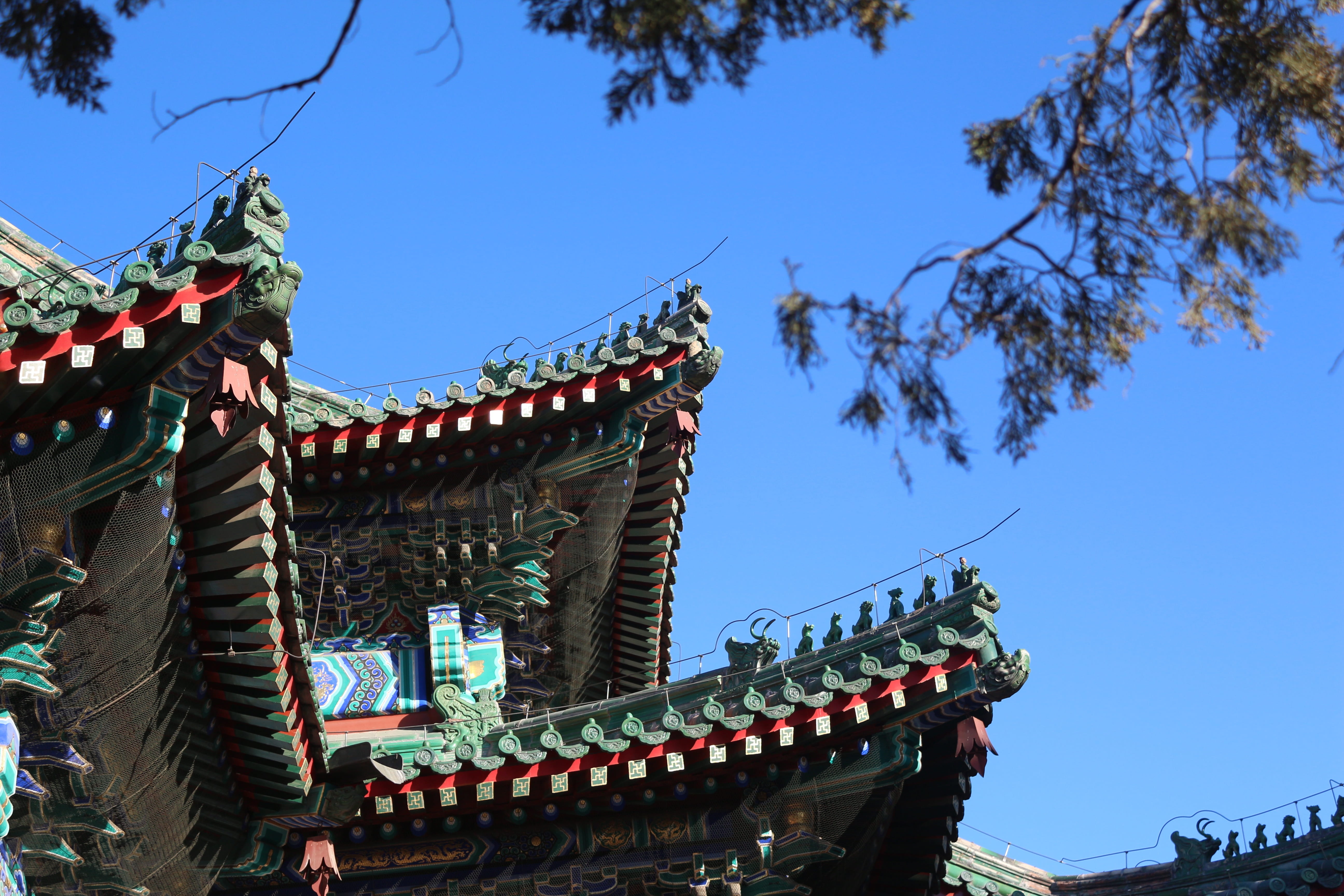 chinese lantern, architecture, nature, plant, sky, 5K, blue, tree, outdoors, day, building, built structure, clear sky, roof, symmetry, building exterior, HD Wallpaper