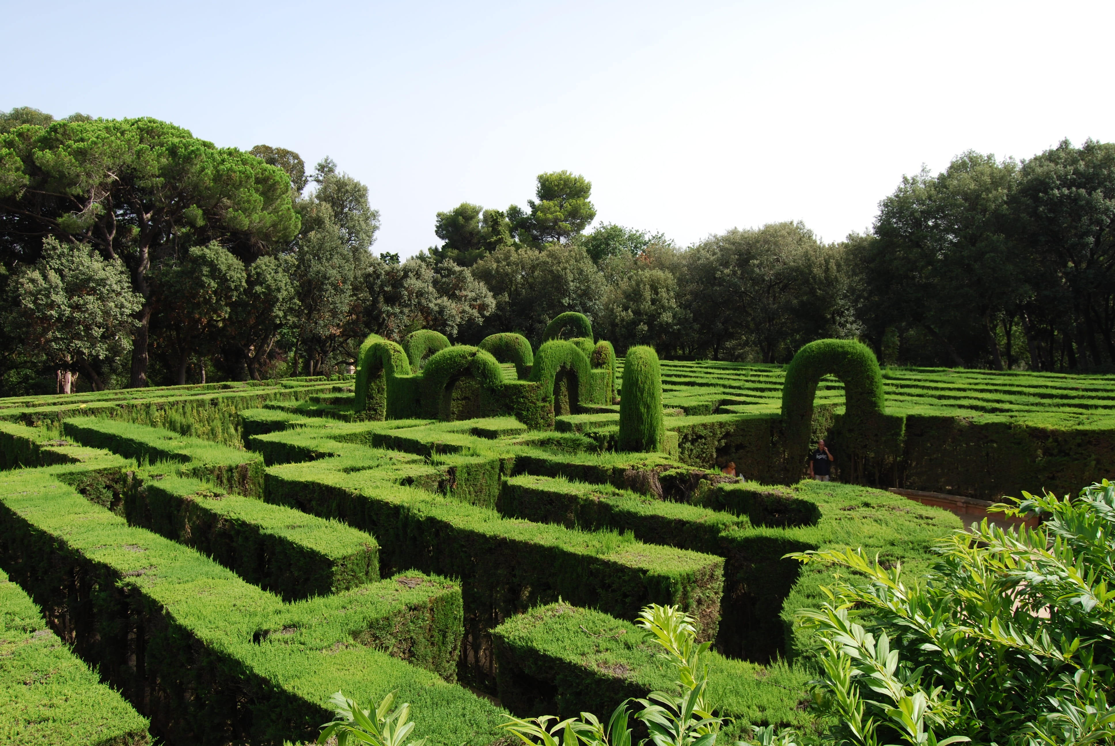 clear sky, green color, tree, topiary, lush foliage, beauty in nature, foliage, hedge, labyrinth, green, sunny, park, complexity, 4K, park - man made space, HD Wallpaper
