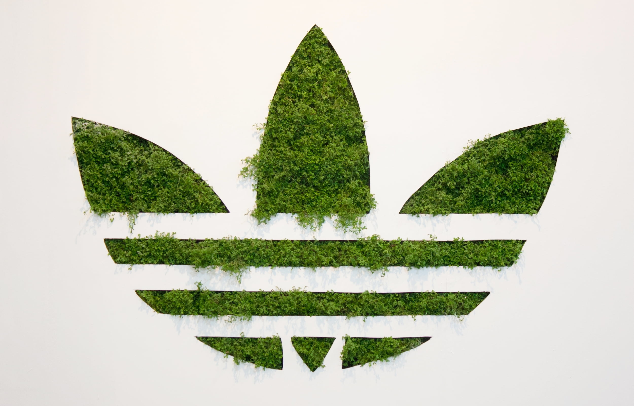 Background, copy space, pattern, indoors, tree, growth, Grass, green Color, arrow Symbol, ideas, symbol, art and craft, studio shot, beauty in nature, plant part, HD Wallpaper