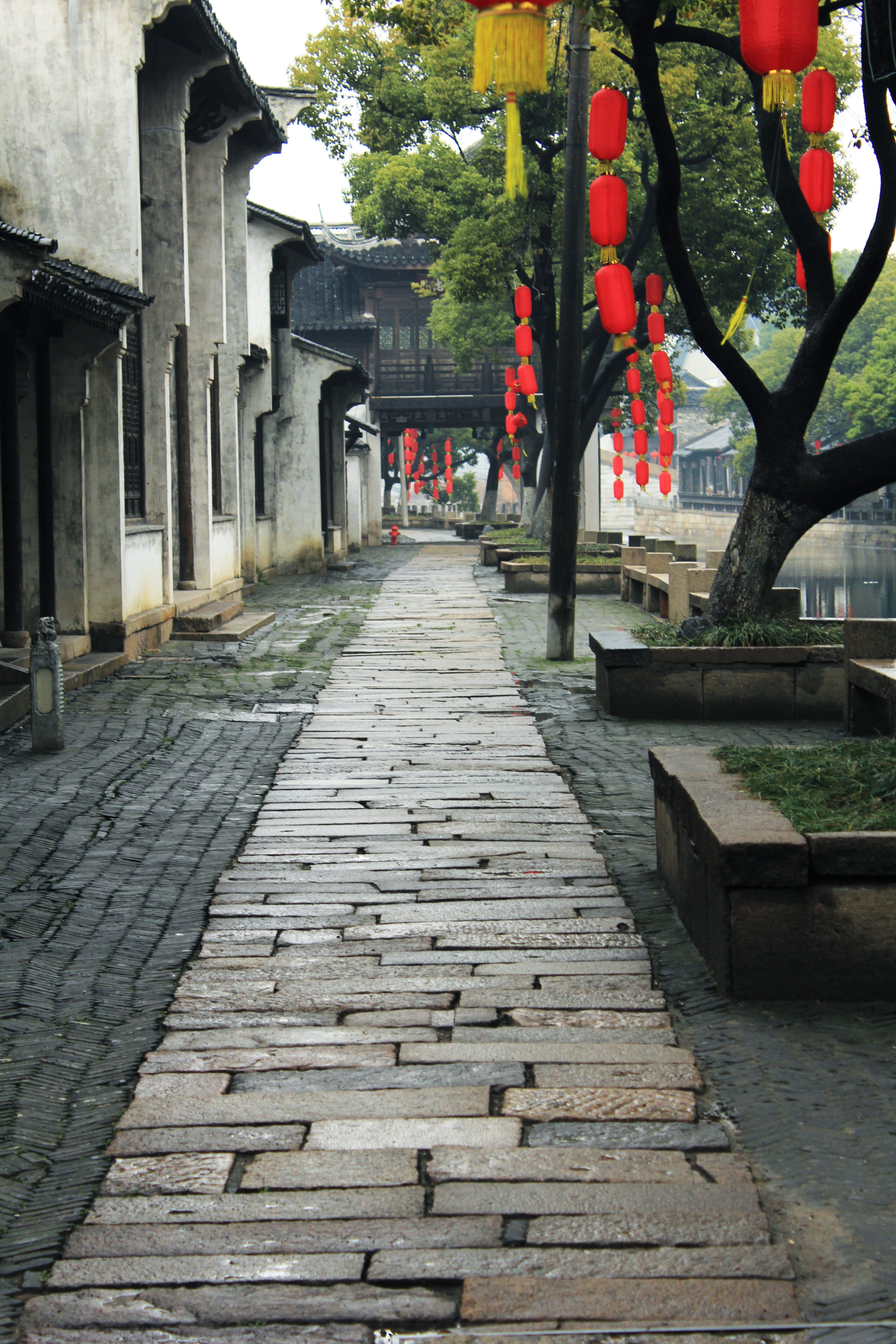 footpath, architectural column, shrine, 5K, outdoors, day, rain, steps and staircases, tree, building, lane, spirituality, wuxi, religion, built structure, Phone HD Wallpaper