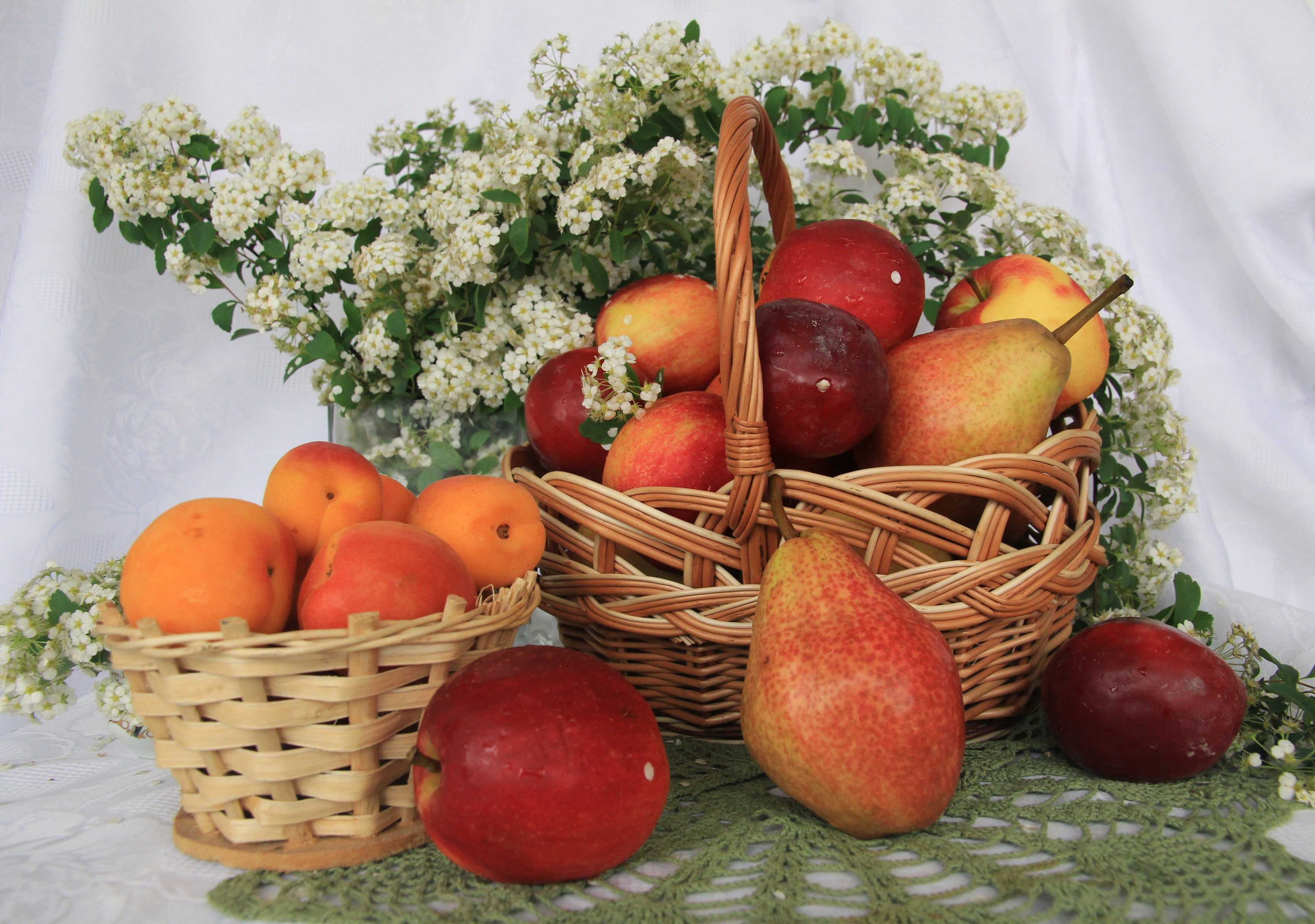 fruit, table, basket, 2K, apples, flowers, still life, pear, tulle, apricots, tablecloth, HD Wallpaper