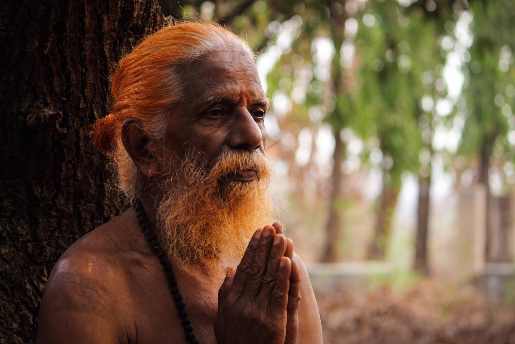 photography, adult, saint, focus on foreground, faith, macro, prayer, bearded, nature, pray, 1080P, social issues, portrait, character, contemplation, HD Wallpaper