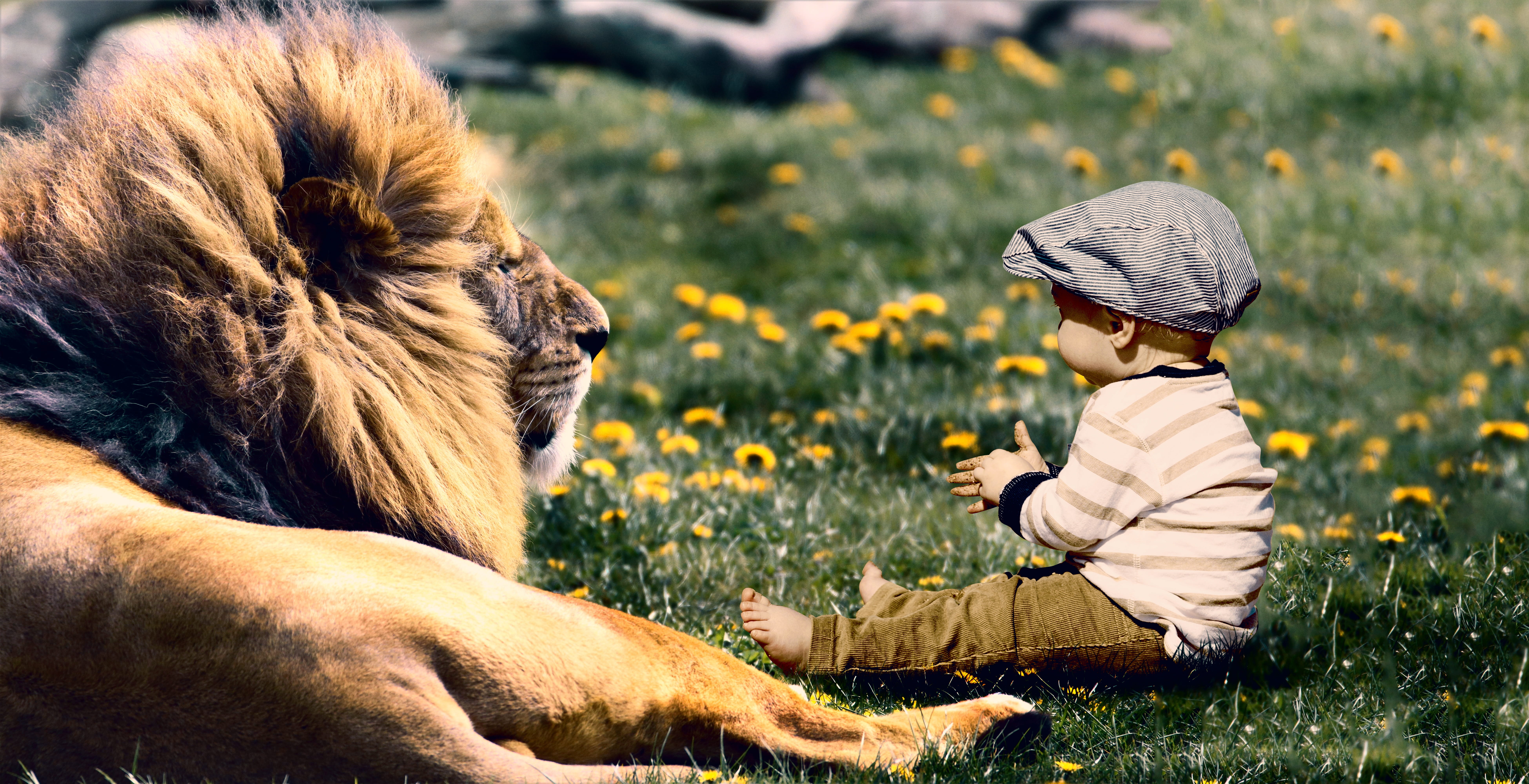 kid, happy, one person, mammal, day, grass, domestic, one animal, leisure activity, sitting, pets, play, son, real people, cute, innocence, domestic animals, HD Wallpaper