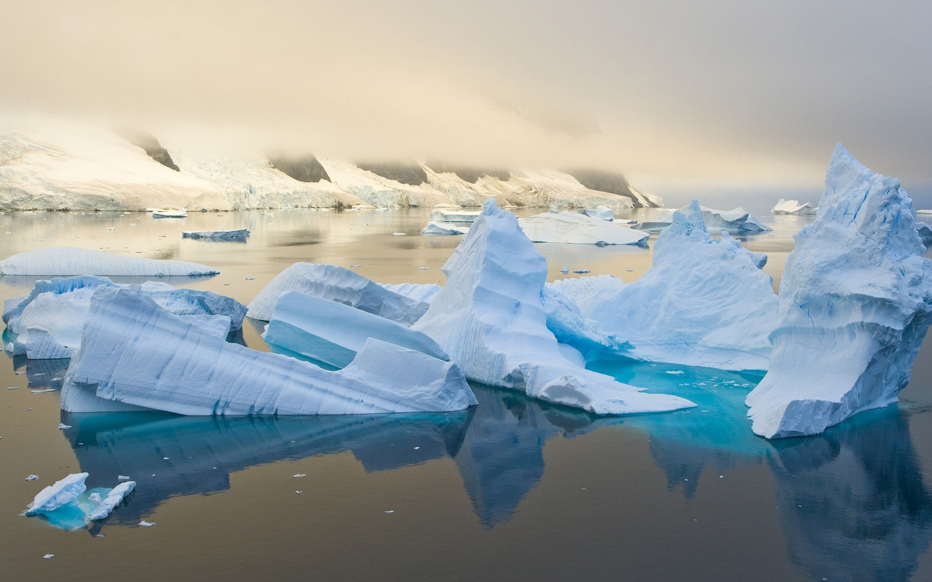 1080P, Arctic, water, ice, HD Wallpaper