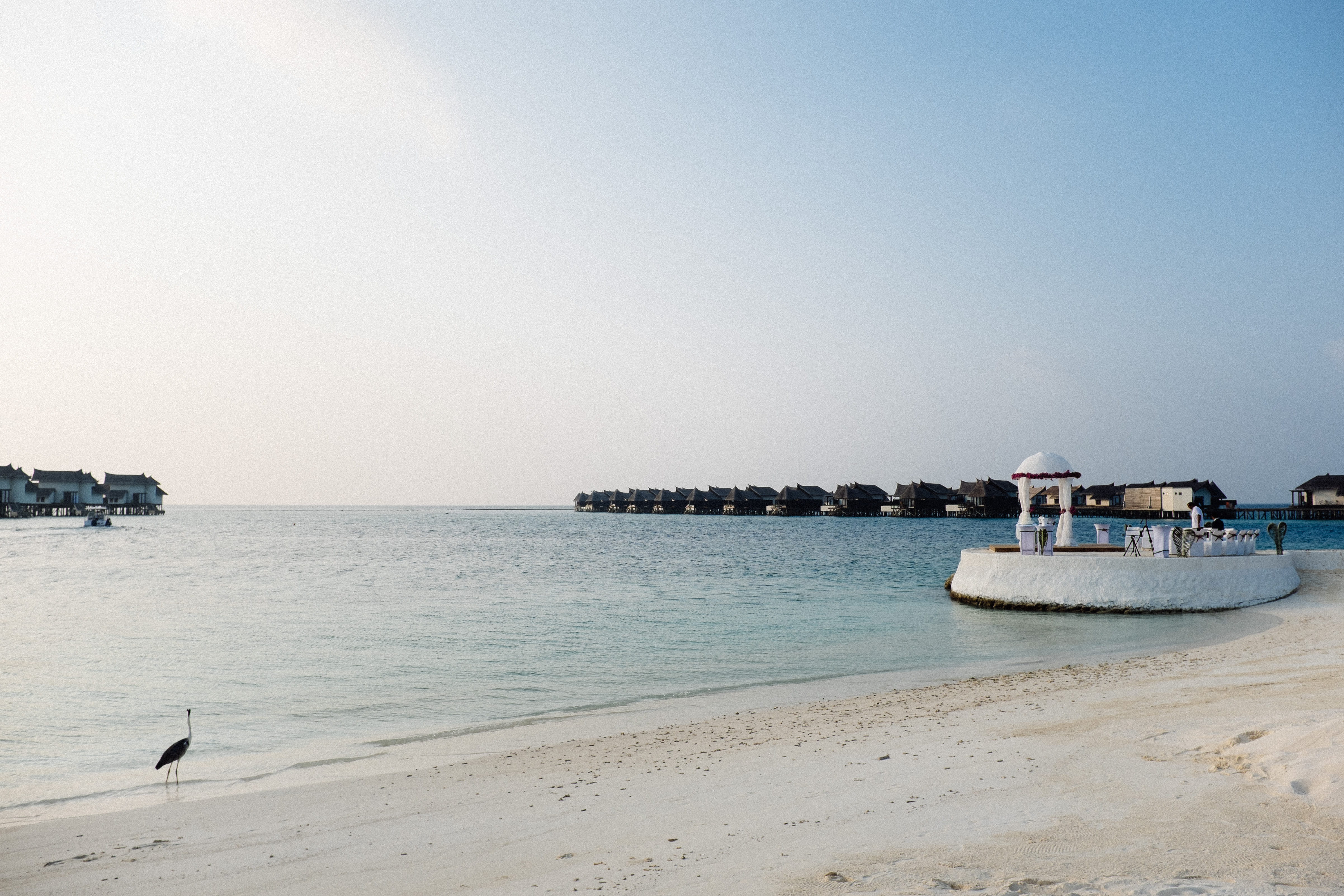 water, transportation, bird, horizon over water, jumeirah vittaveli maldives, day, seashore, land, travel, sea, nature, clear sky, horizon, scenics - nature, HD Wallpaper