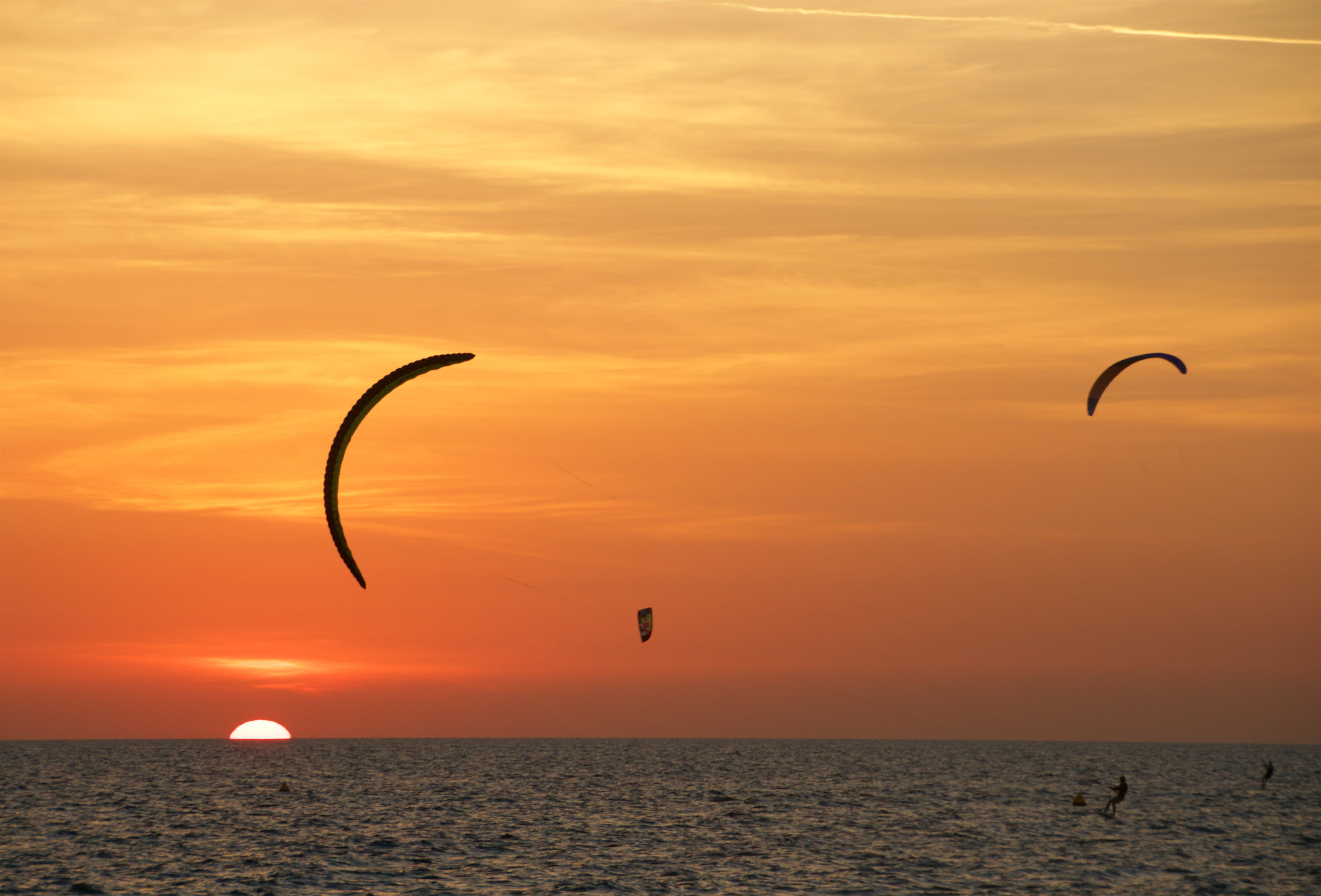 extreme sports, jumeirah, nature, silhouette, kite surfing, water, kiteboarding, sport, beach, sea, sunset, 5K, flying, orange color, horizon, cloud - sky, HD Wallpaper