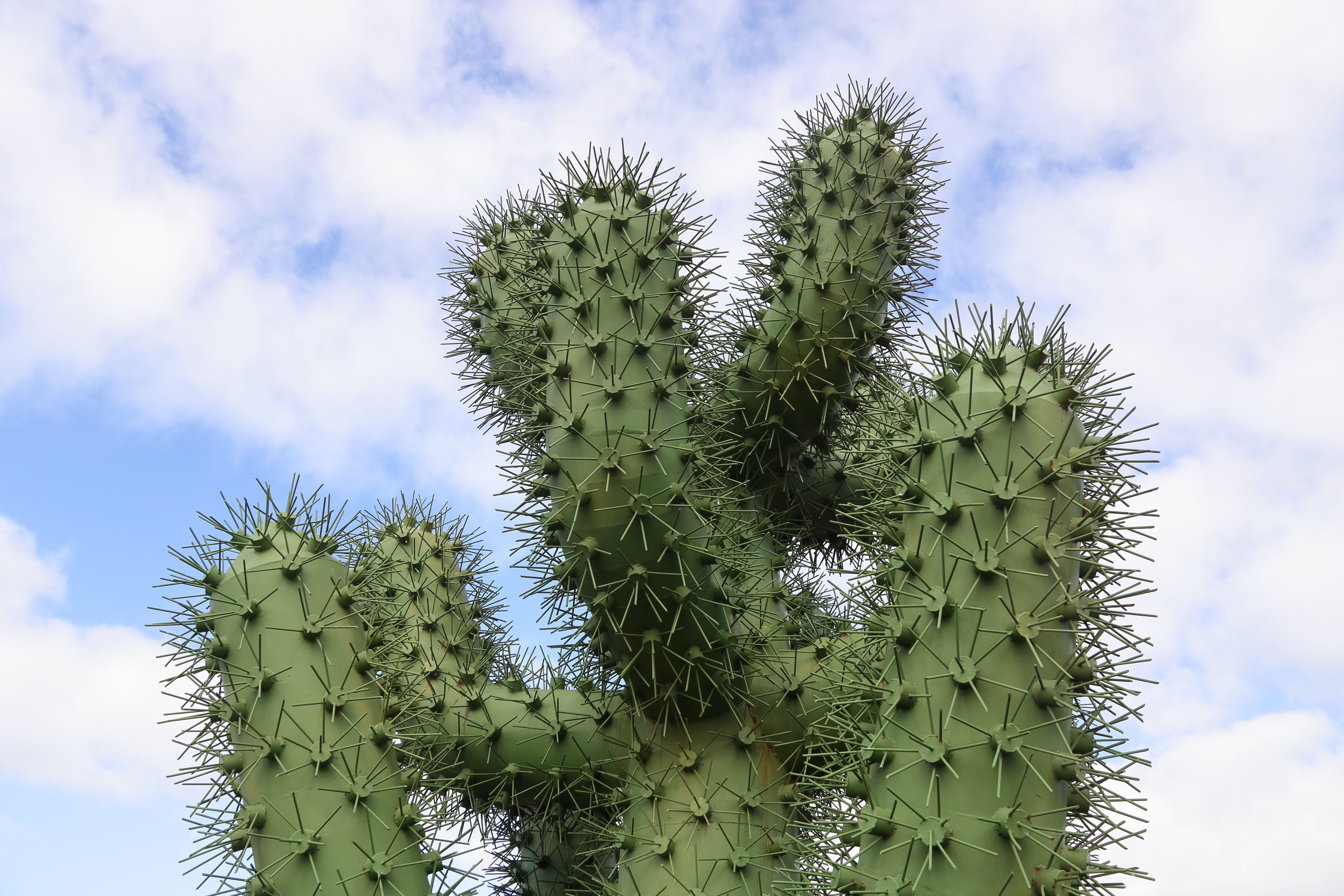 thorn, beauty in nature, succulent plant, needle - plant part, spiky, cactus, lanzarote, climate, plant, close-up, day, low angle view, focus on foreground, HD Wallpaper