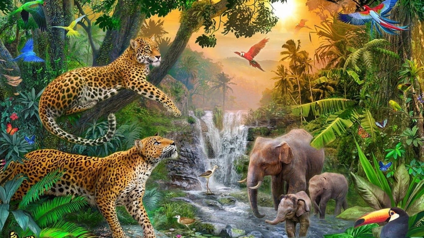 animal, animals in the wild, 720P, carnivora, Elefant, Braun, animal wildlife, feline, mammal, group of animals, Afrikanisch, no people, outdoors, animal themes, HD Wallpaper