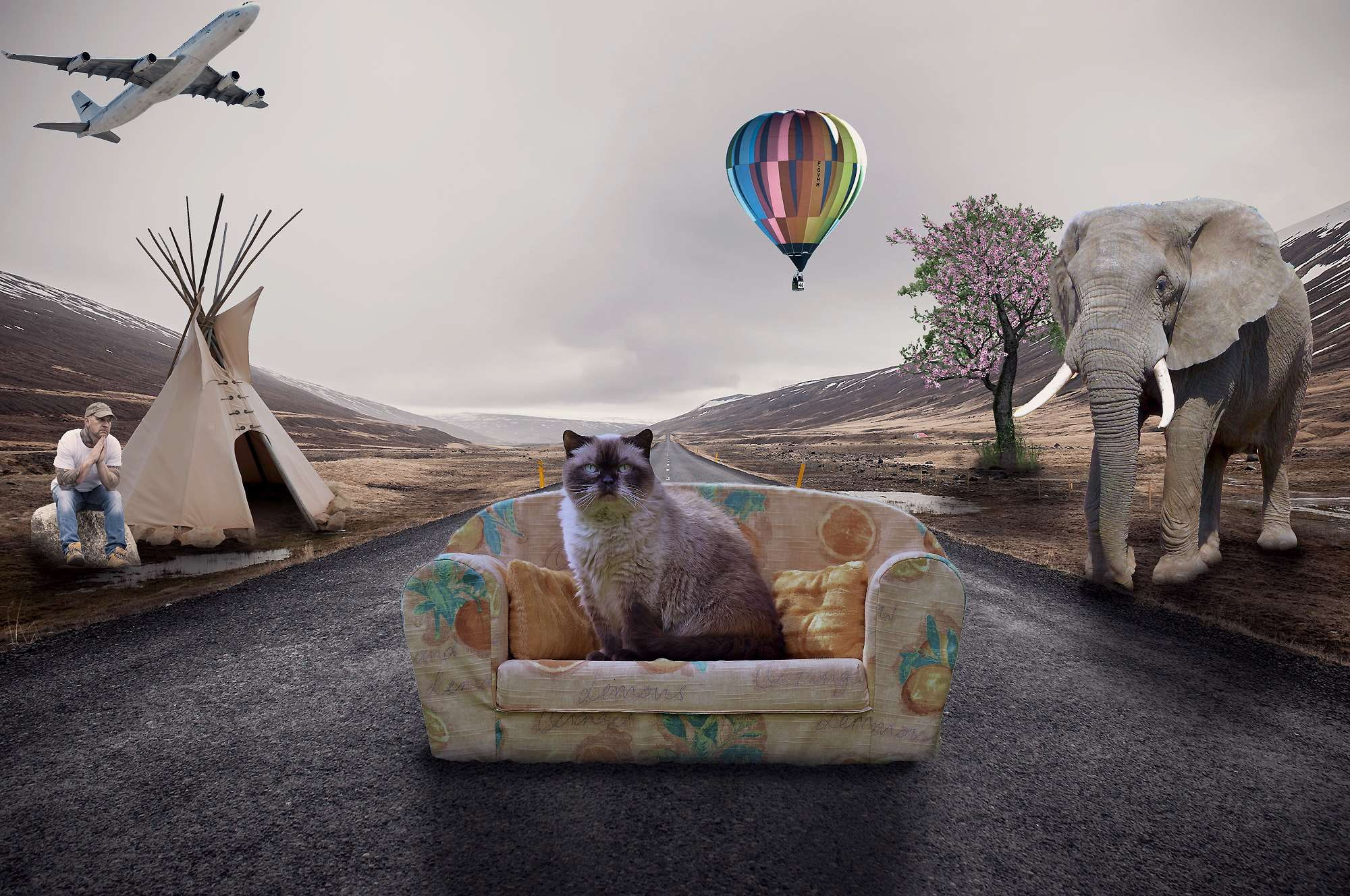 representation, digital composite, elefant, couch, nature, no people, 1080P, transportation, plane, elephant, architecture, adobe photoshop, objects, street, HD Wallpaper