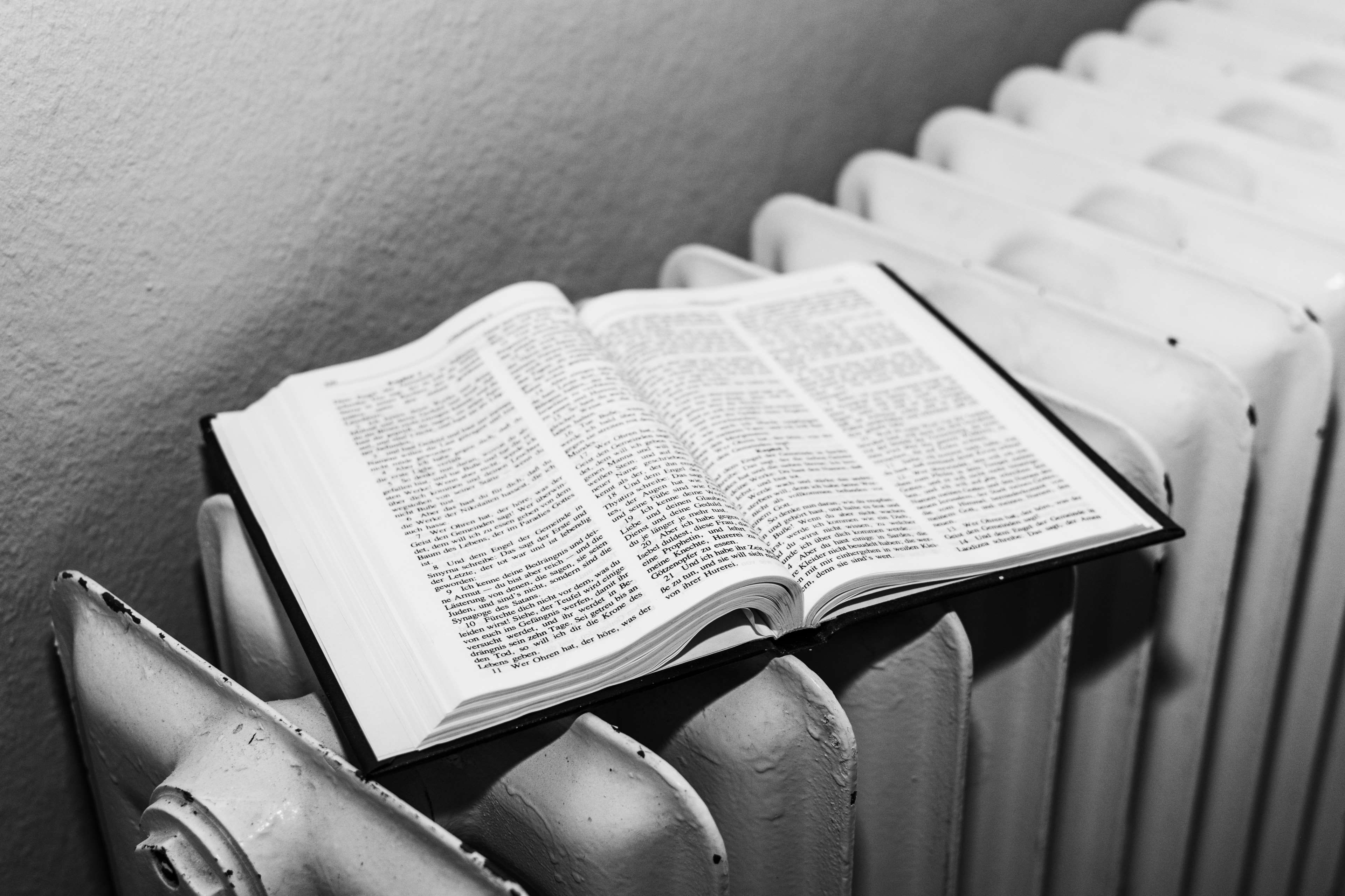 studying, 4K, people, reading, focus on foreground, black and white, education, learning, read, page, knowledge, bible, activity, indoors, word of god, HD Wallpaper