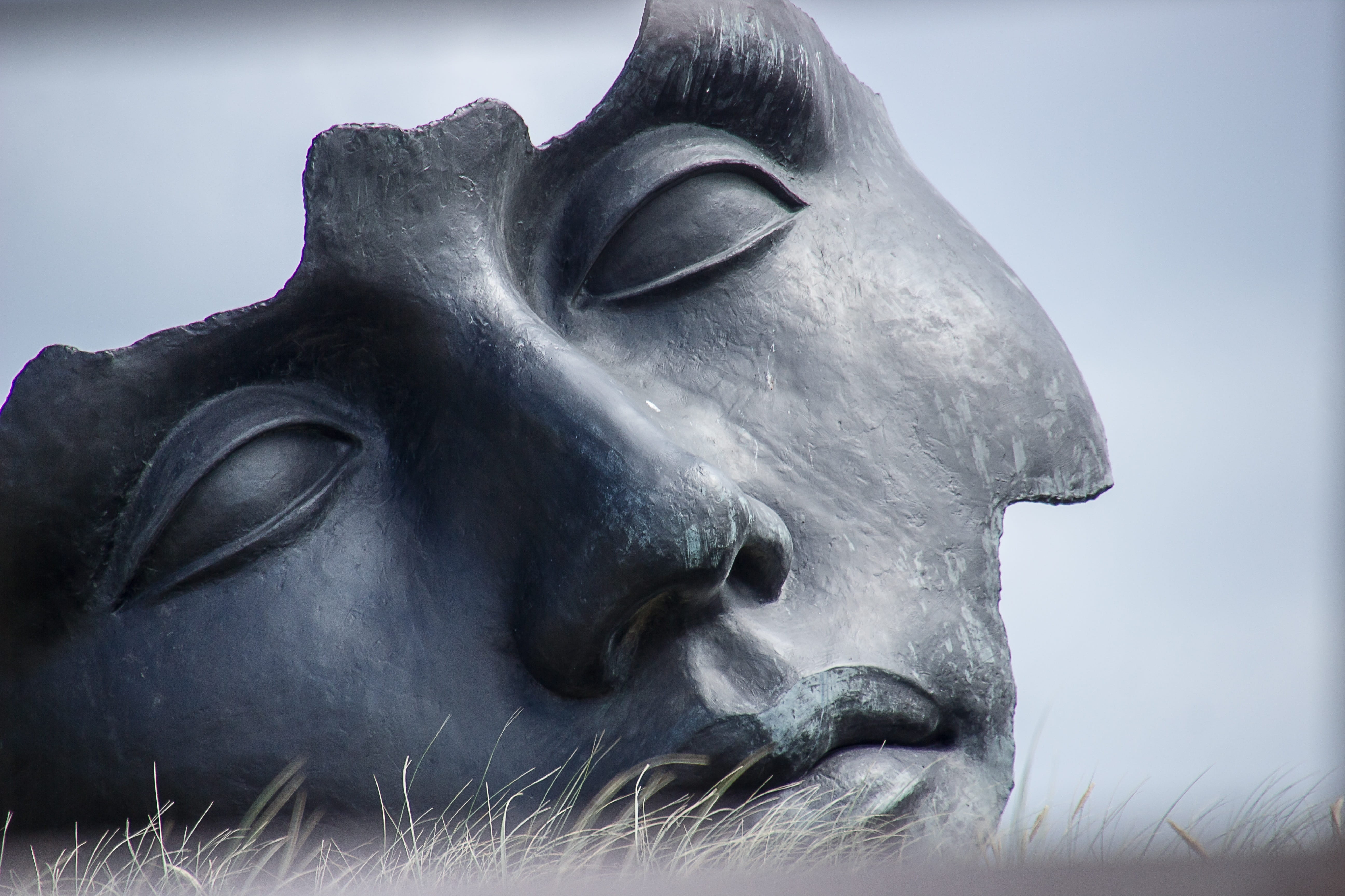 animal body part, concrete, art, domestic animals, statue, mammal, herbivorous, no people, images, sculpture, one animal, animal head, outdoors, close-up, HD Wallpaper