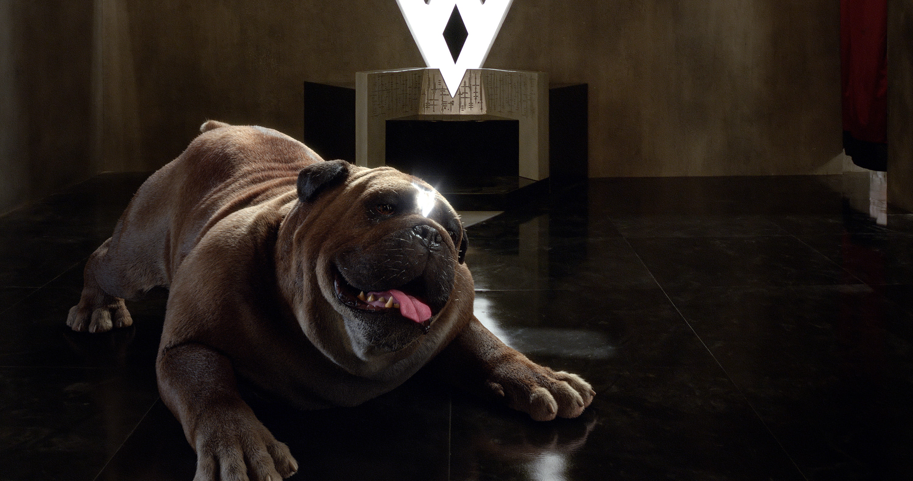 inhumans, tv, 2K, series, lockjaw, HD Wallpaper