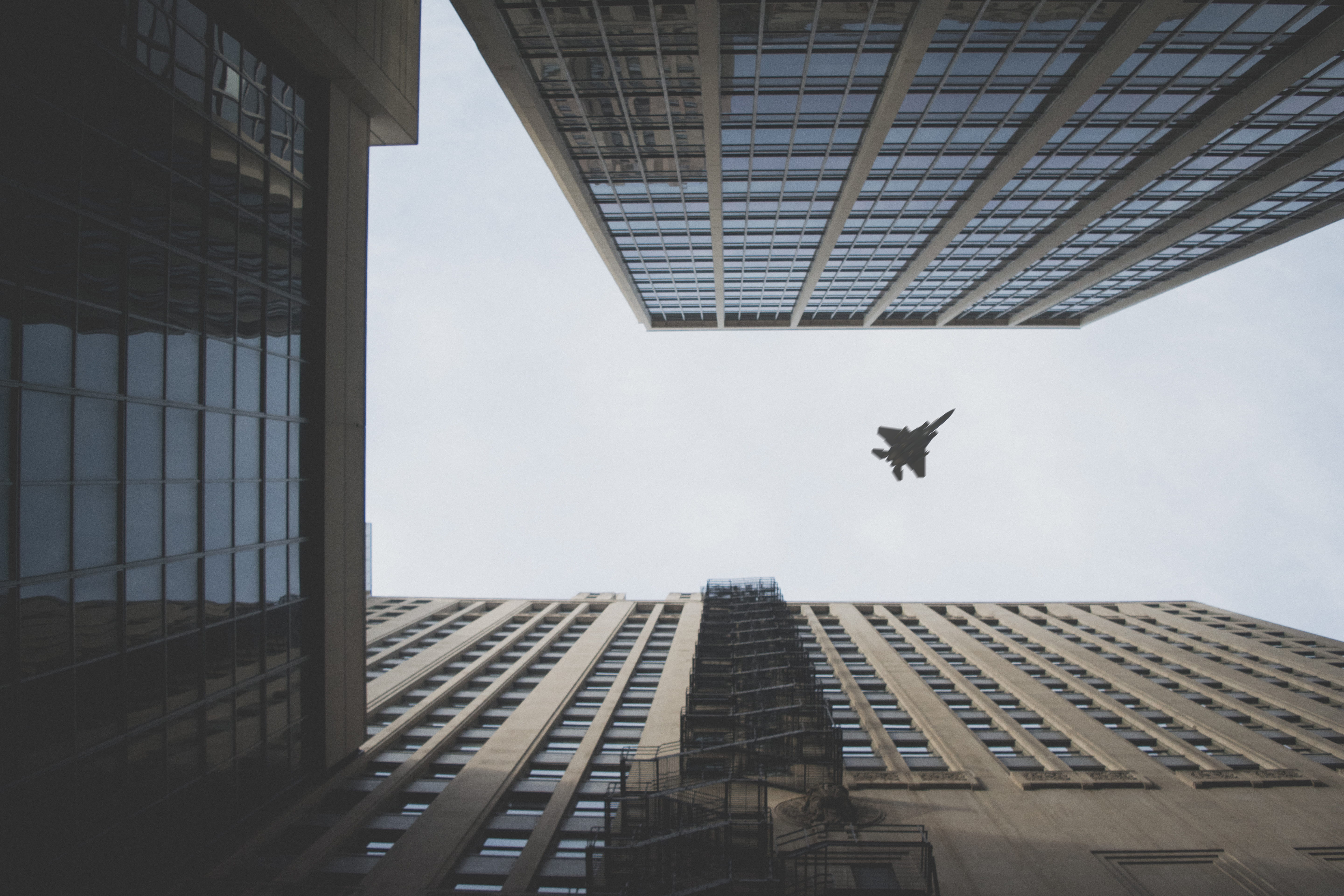 air, mid-air, doherty, air vehicle, no people, outdoors, building, flight, one animal, day, fighter, building exterior, 5K, facade, sky, city, worm, flynn, HD Wallpaper
