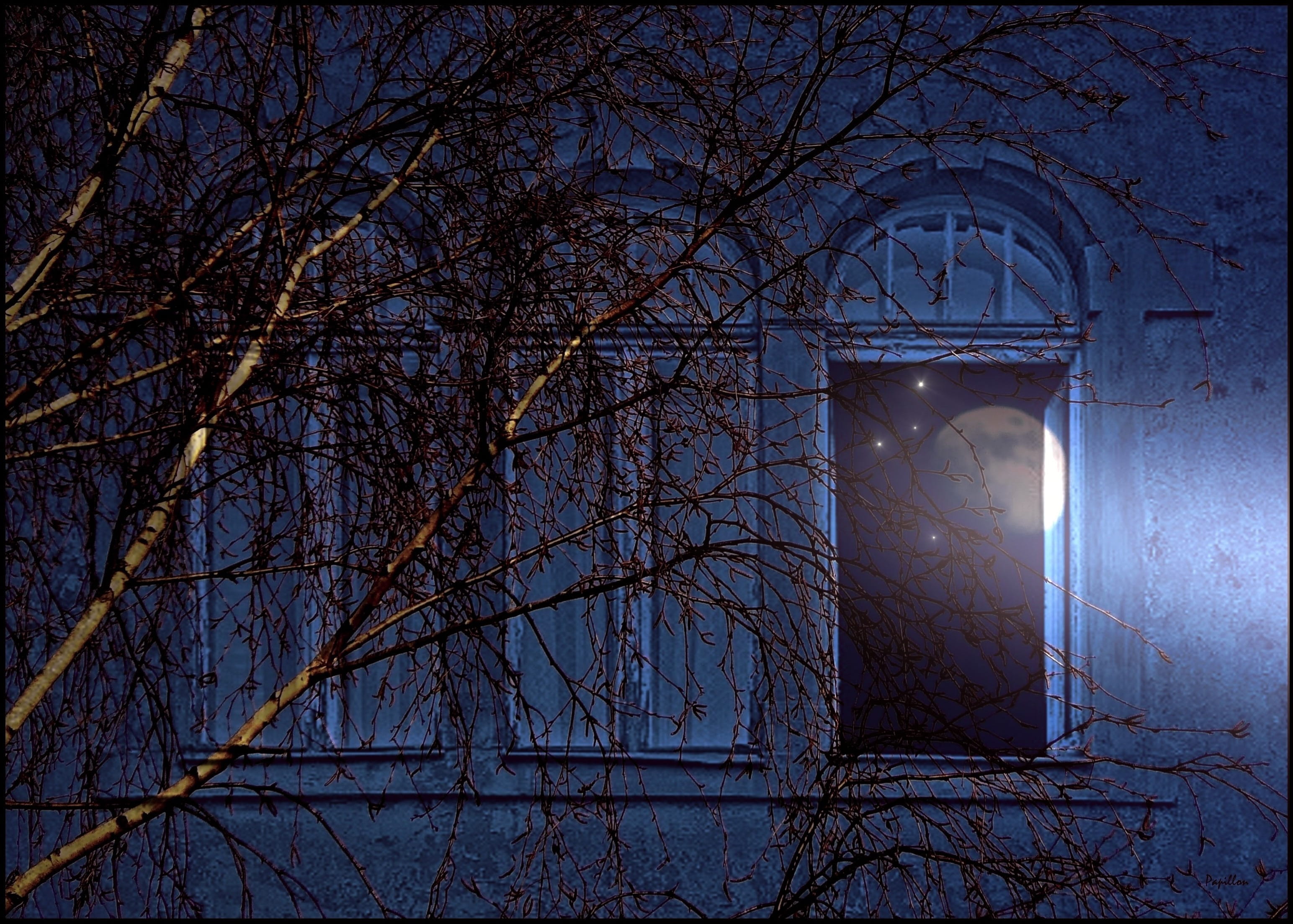 fantasy, nighttime, tree, mystical, abandoned, mirroring, winter, day, open, facade, sunlight, light, lights, built structure, moonlight, open window, arch, HD Wallpaper