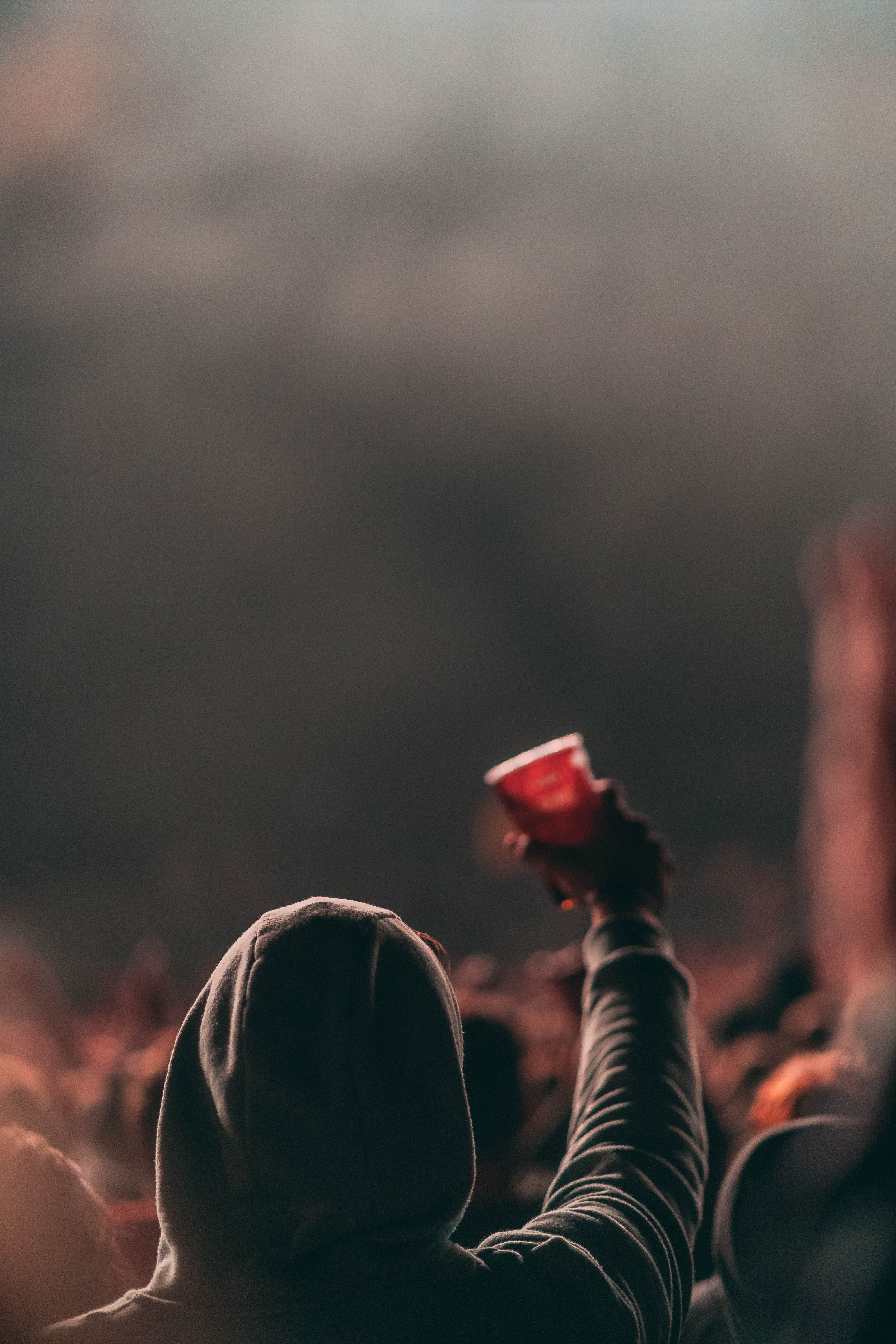 sky, portrait, focus on foreground, hd background, outdoors, raising, fun, rear view, excitement, cup, person, two people, holding, women, festival, crowd, Phone HD Wallpaper